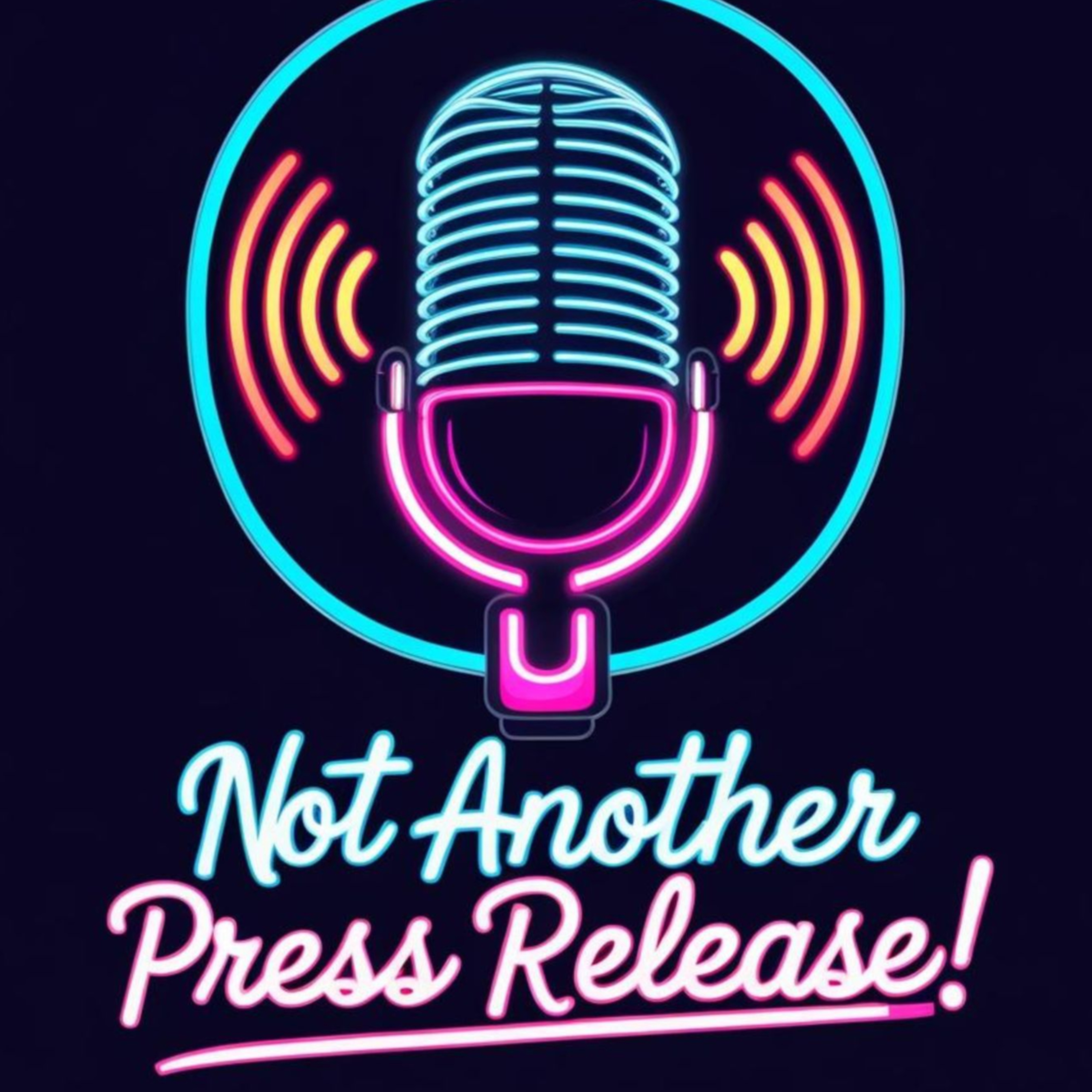 Not Another Press Release! cover art