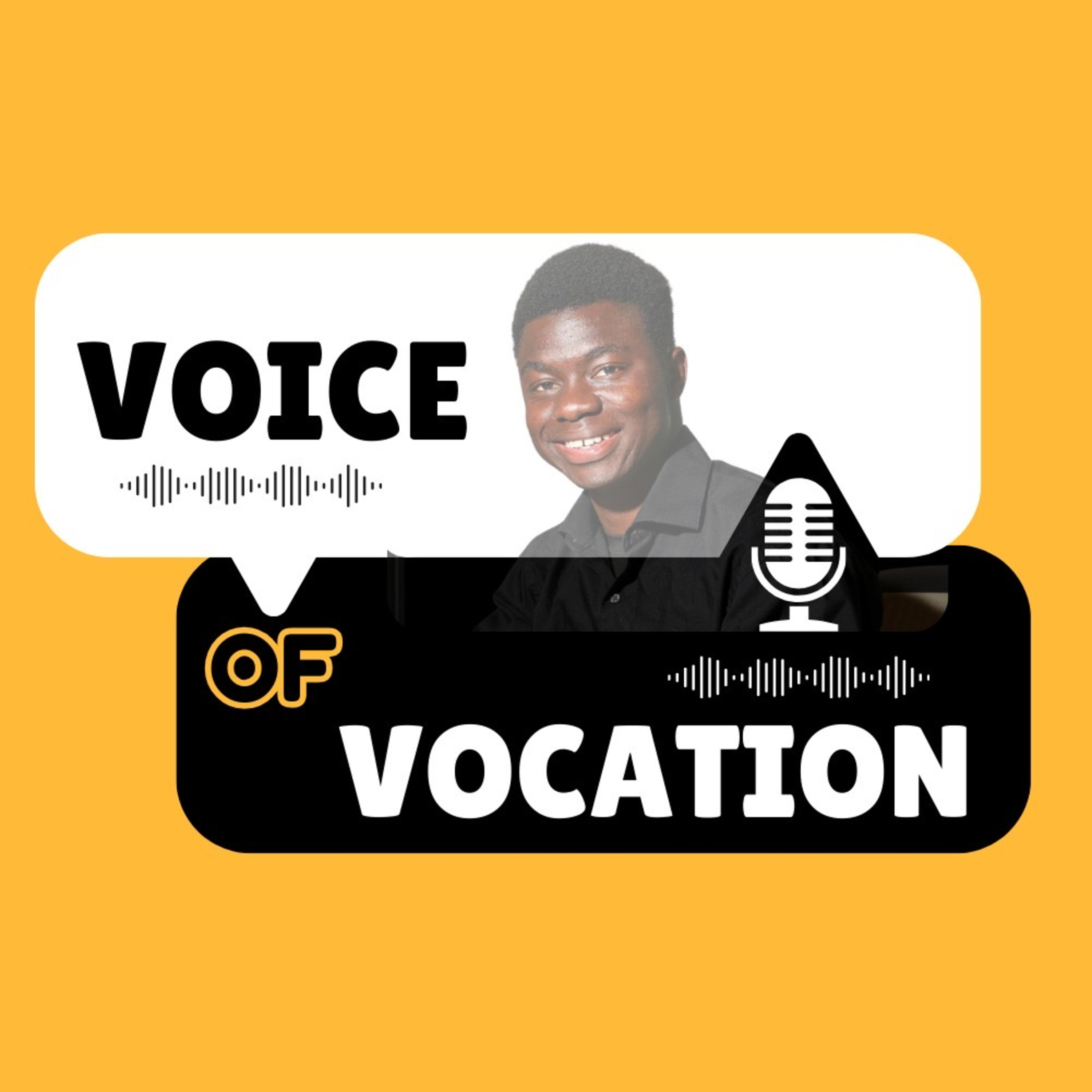 Voice Of Vocation cover art