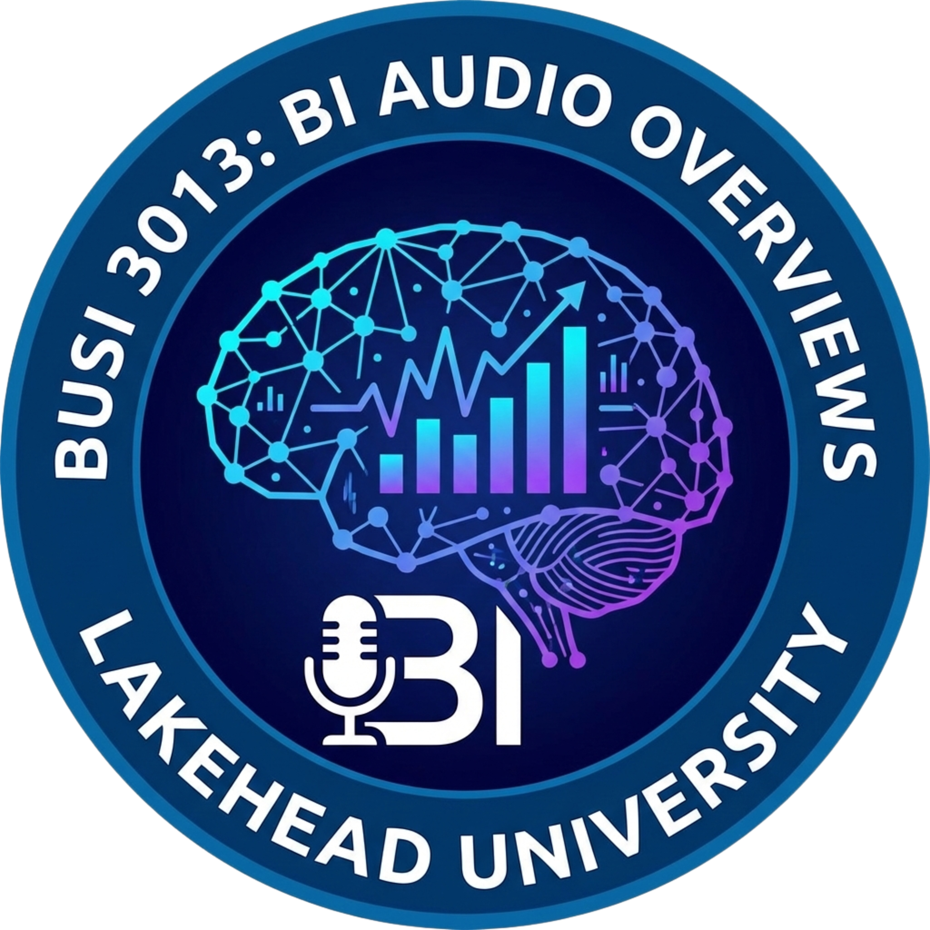 Business Intelligence Class Audio Overviews (BUSI3013) cover art