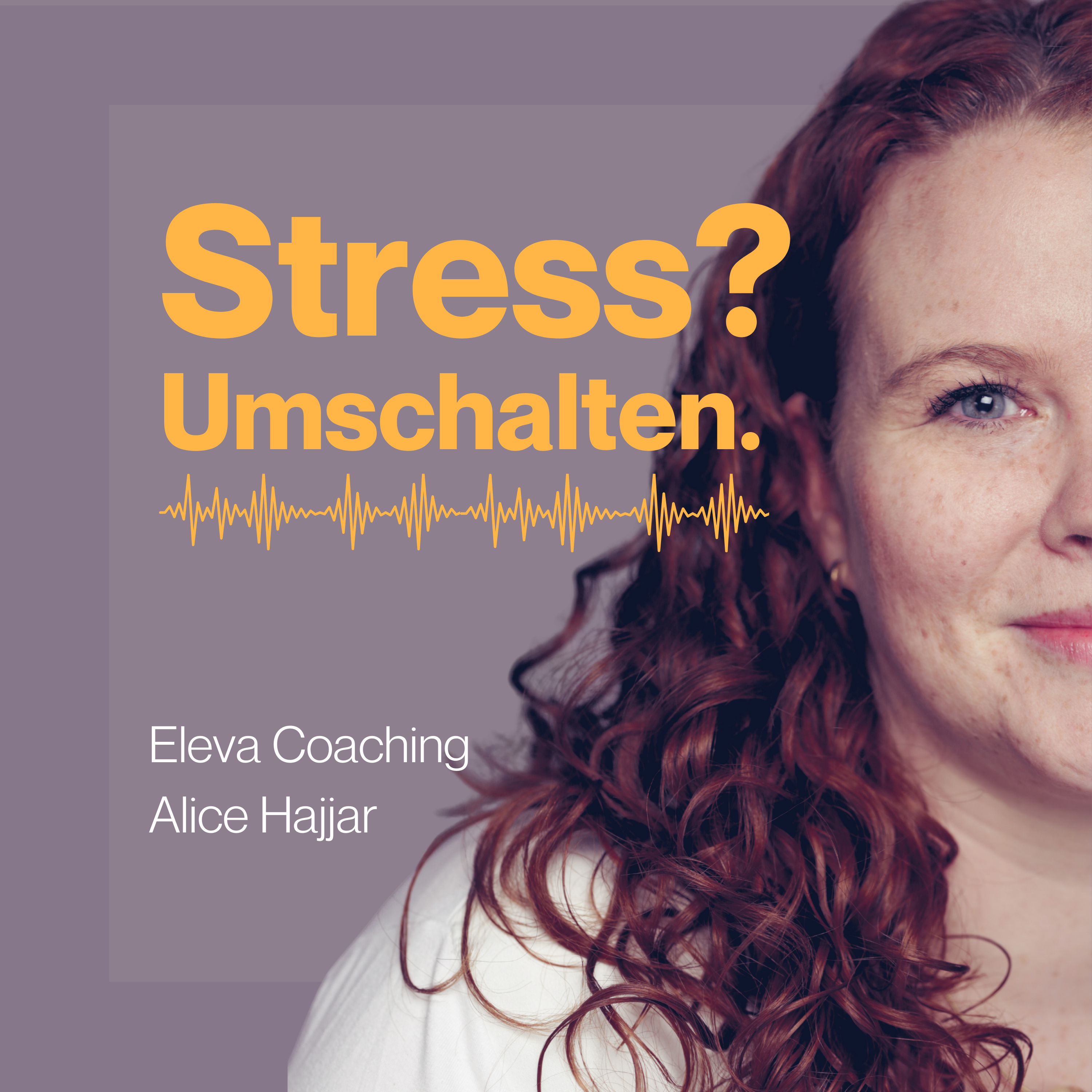 Stress ist doch normal – Umschalten statt Abschalten cover art