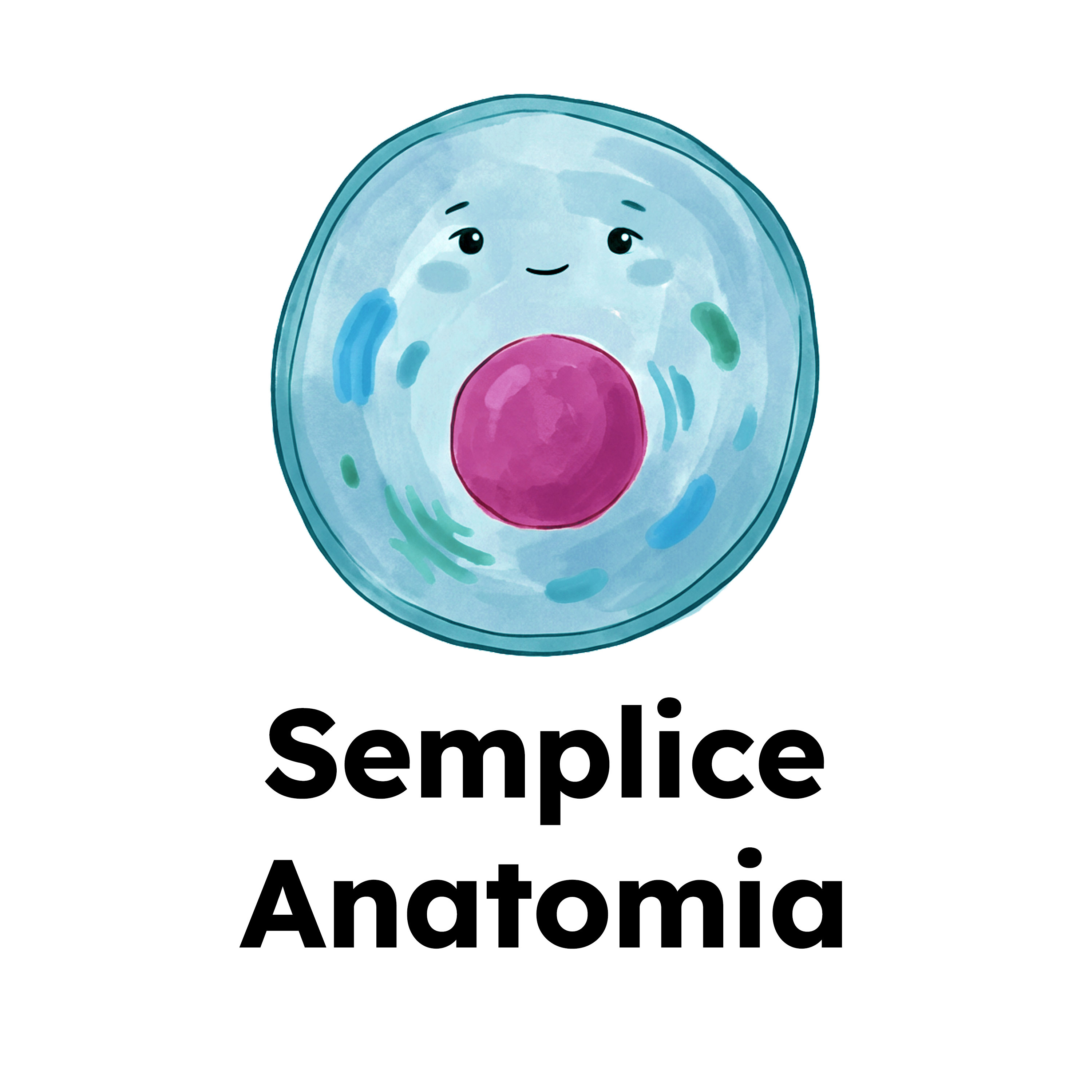 Semplice Anatomia cover art