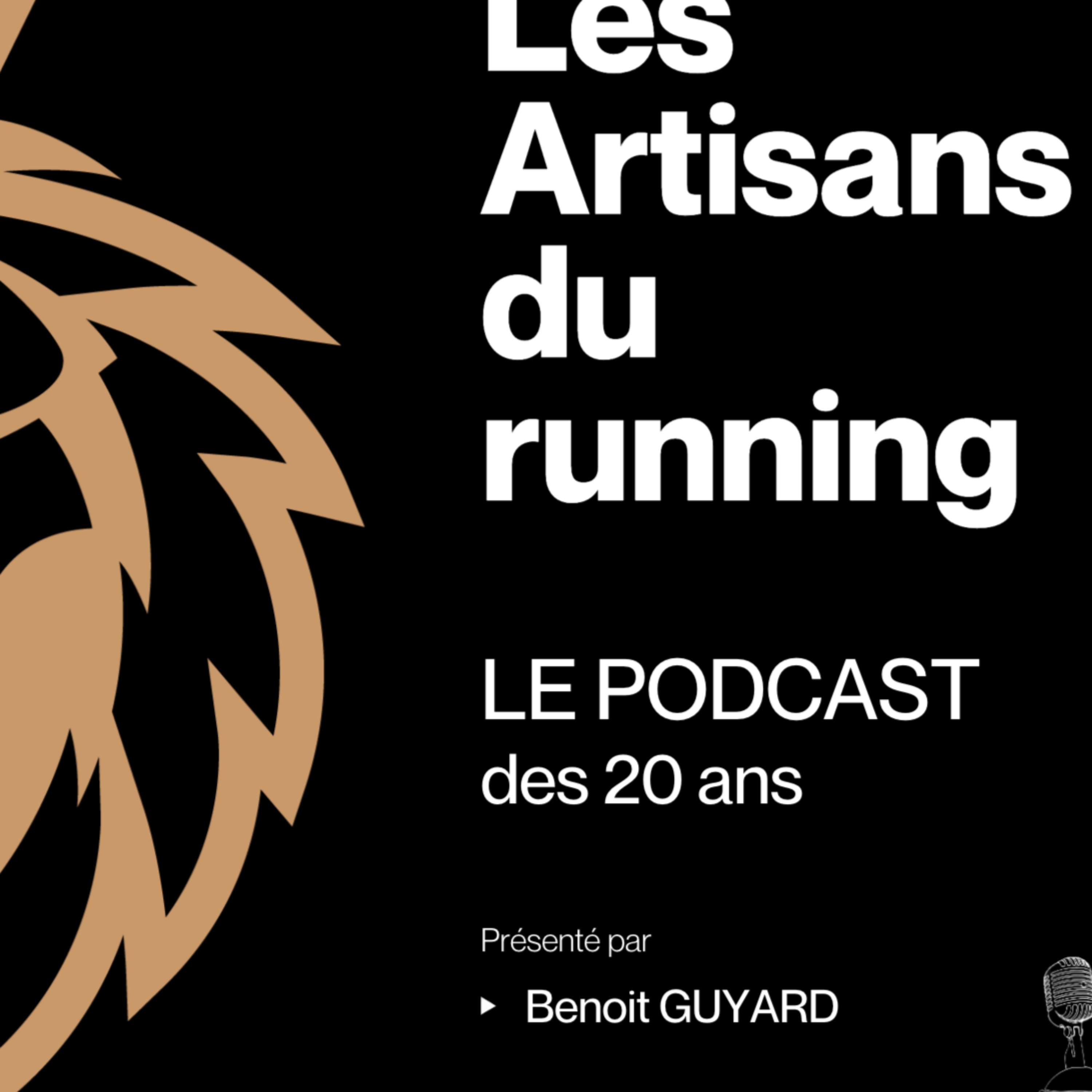 Le PODCAST des Artisans cover art