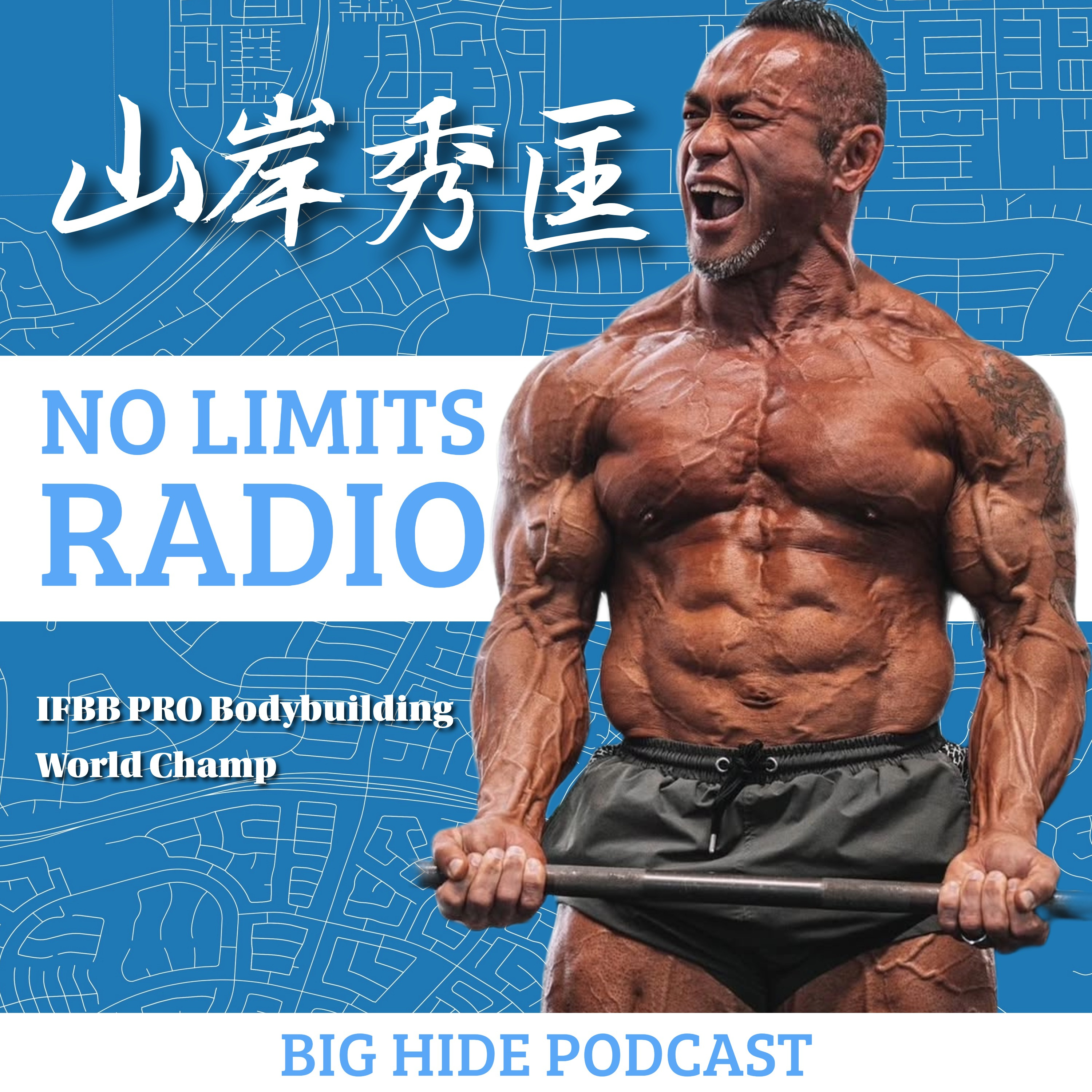 BIG HIDE PODCAST cover art