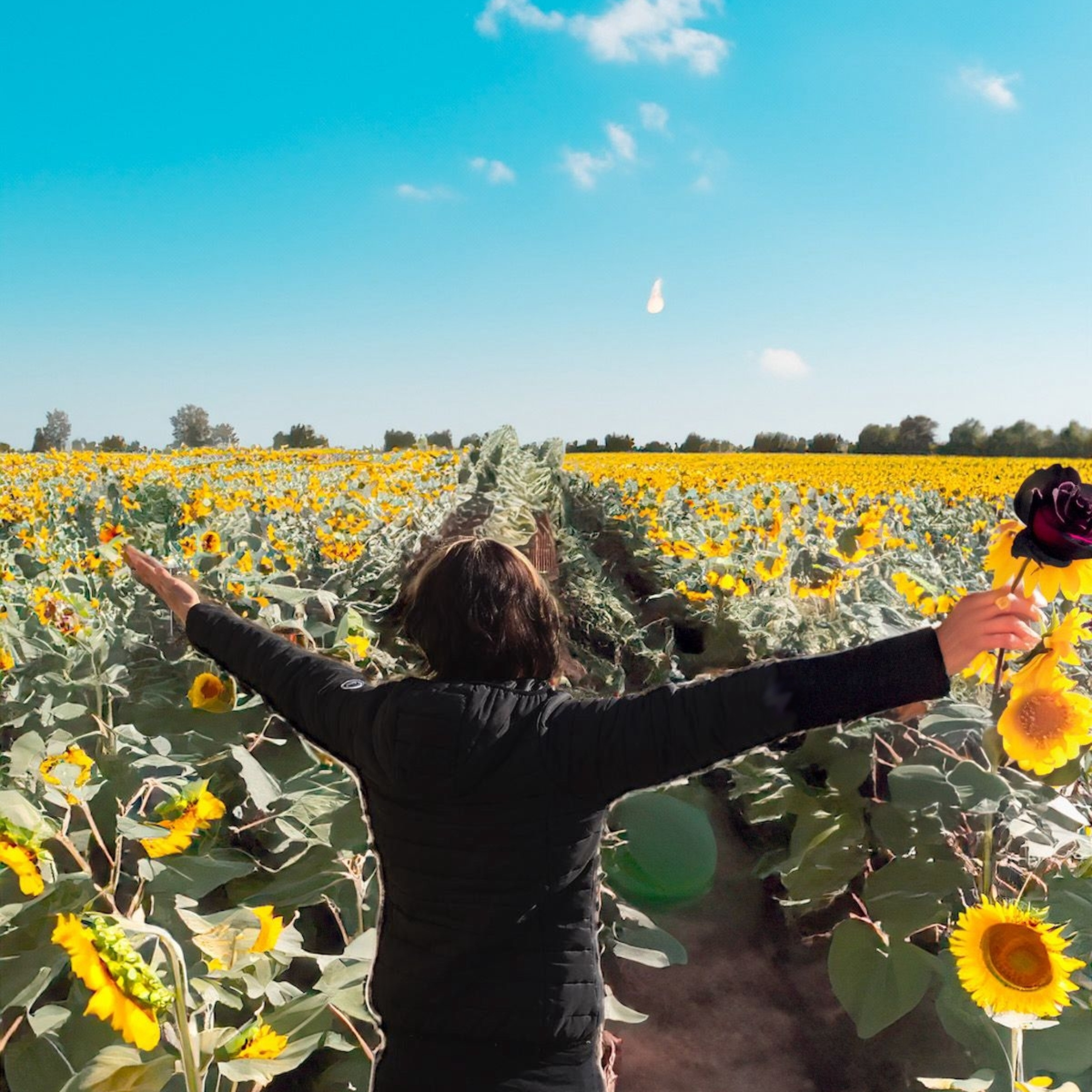 Schizophrenie - Ein stabiles Selbstbild cover art