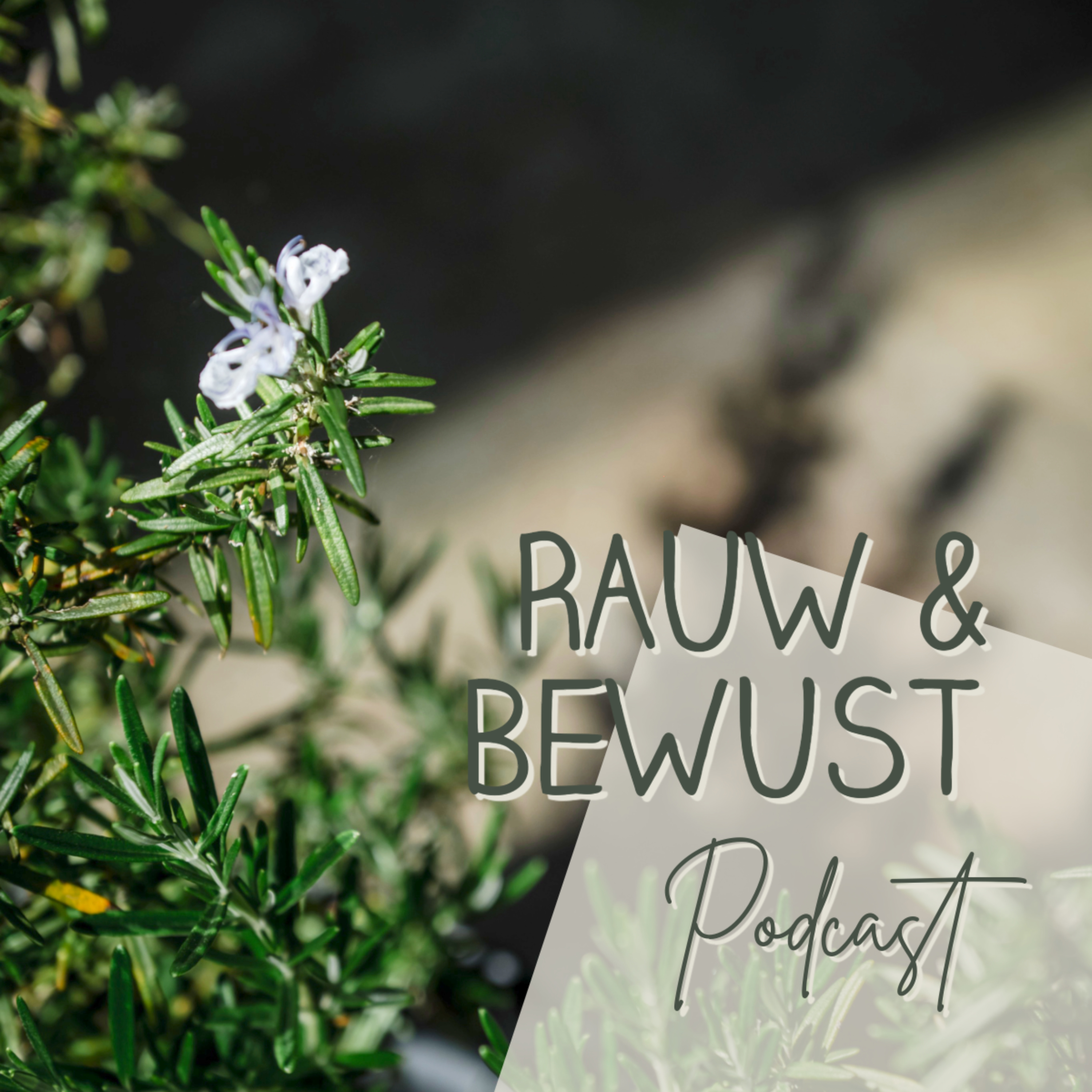 Rauw en Bewust cover art