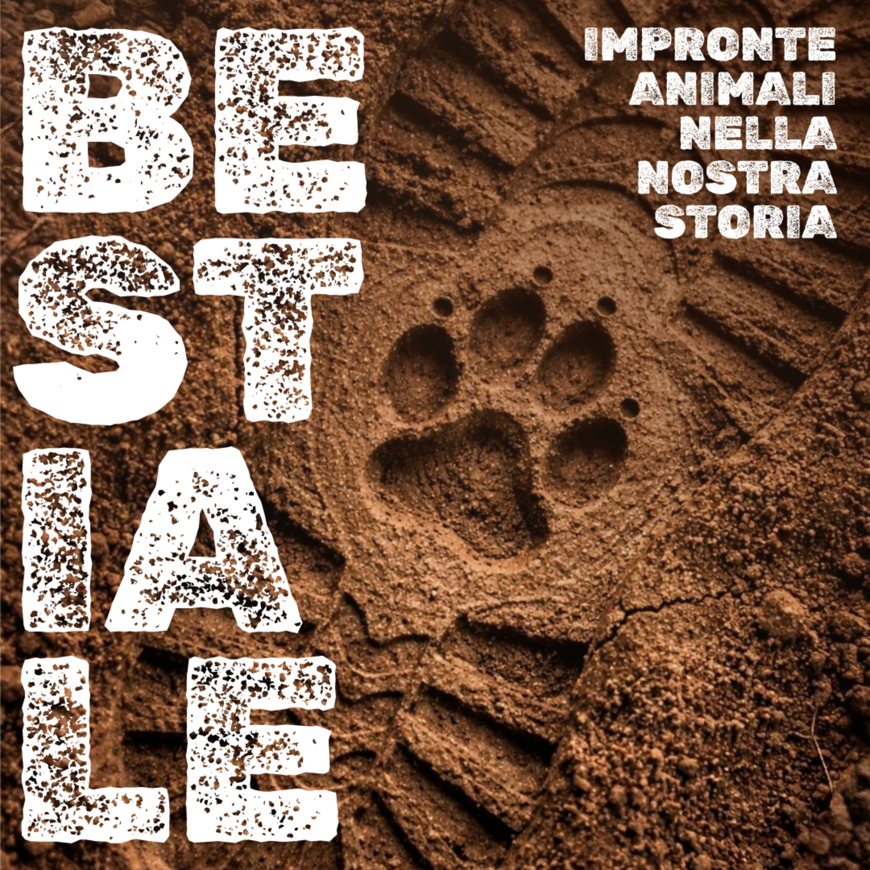 Bestiale - impronte animali nella nostra storia podcast artwork