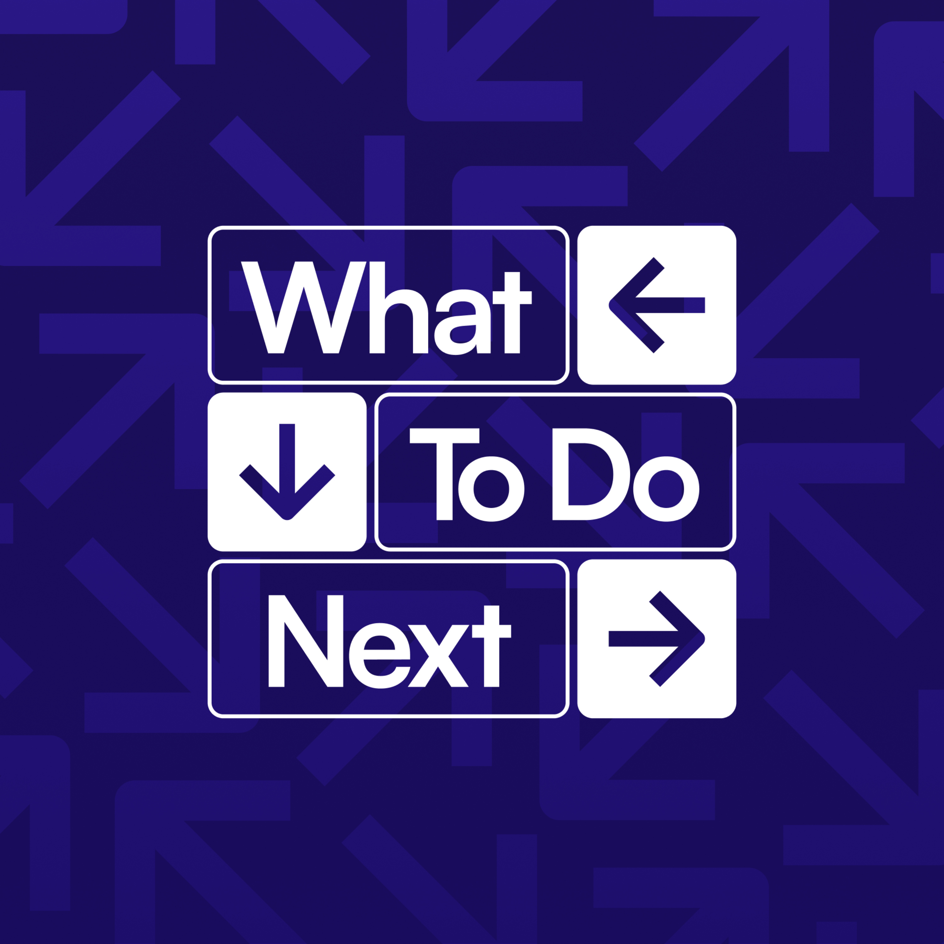 What To Do Next cover art