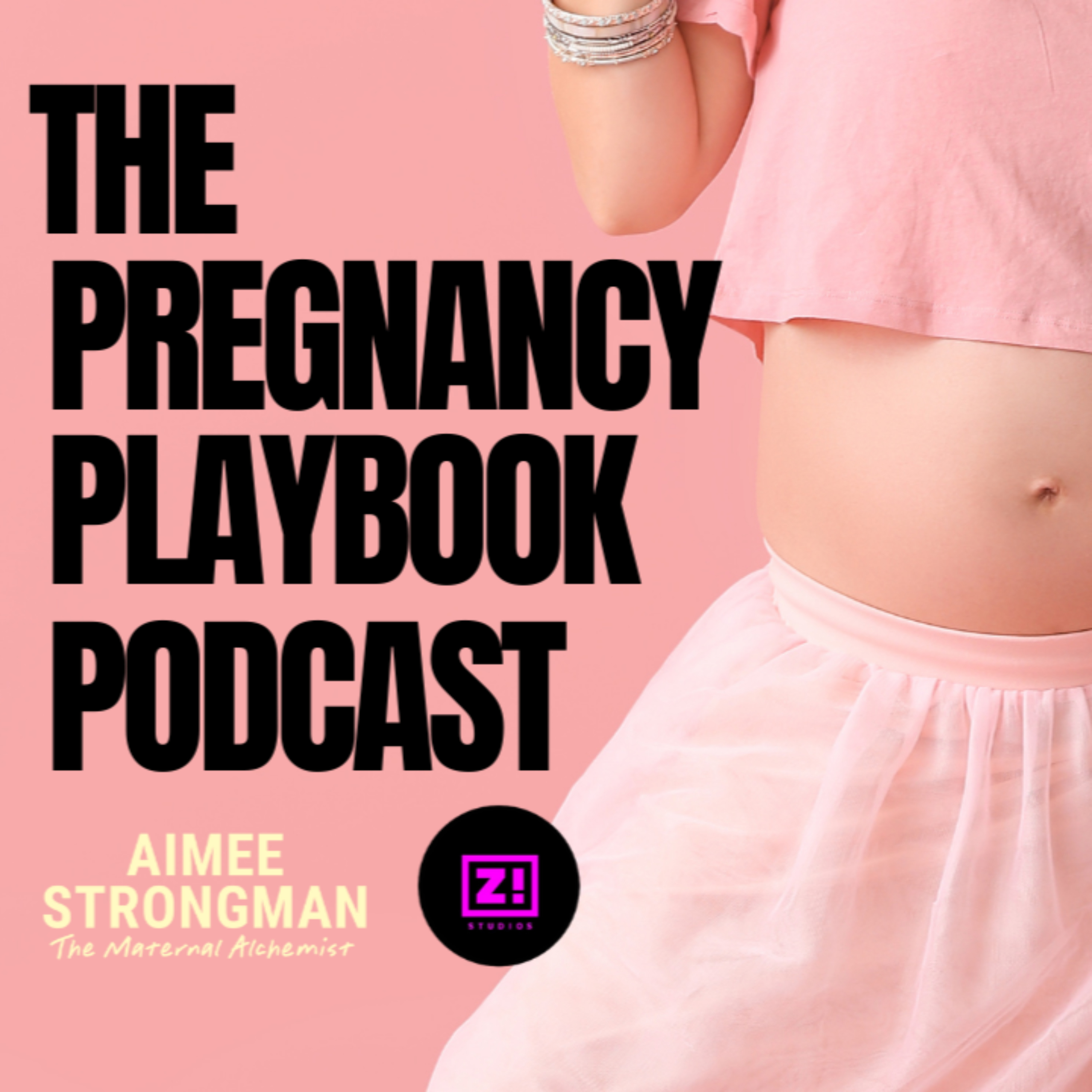 The Pregnancy Playbook Podcast cover art