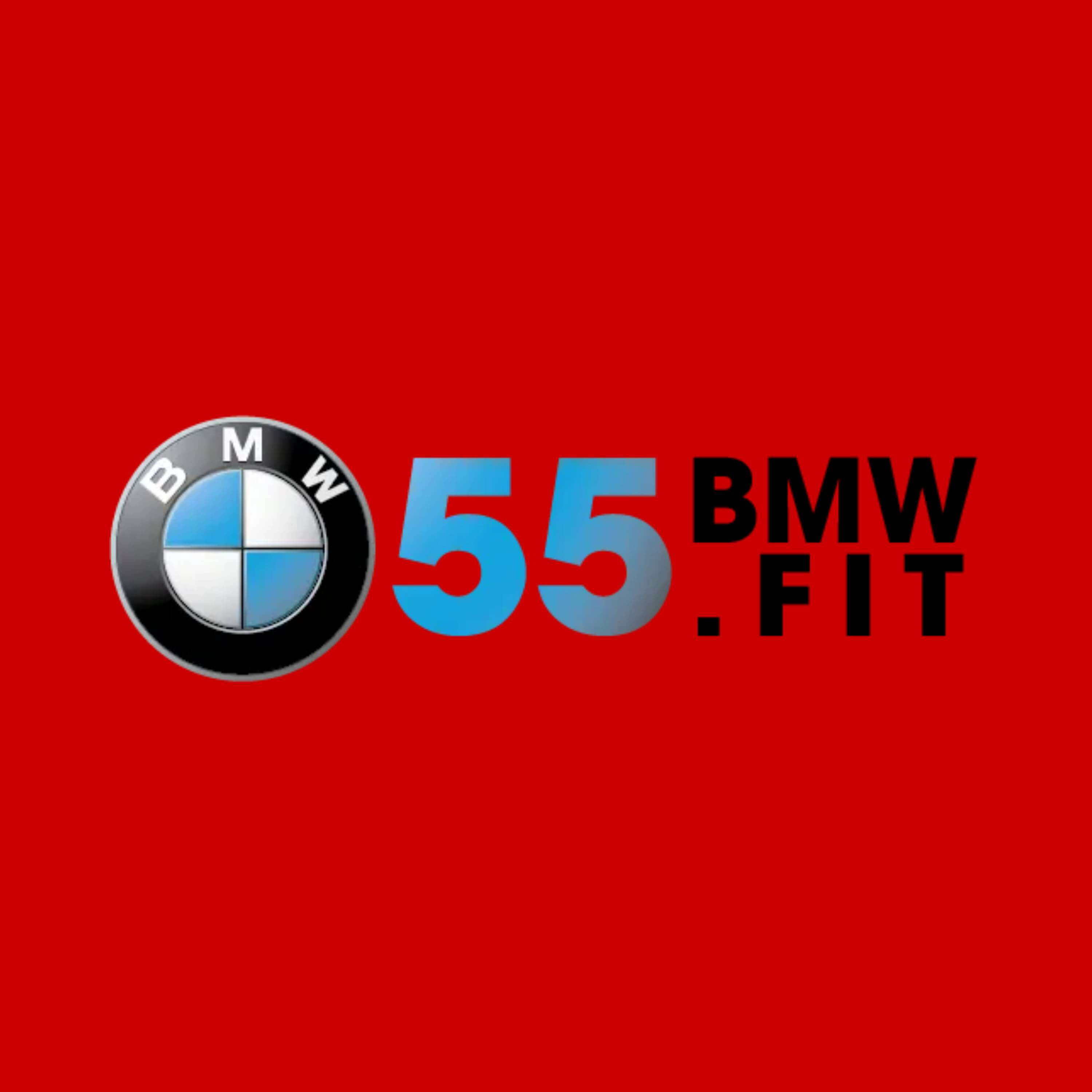 55BMW-55bmw.fit cover art