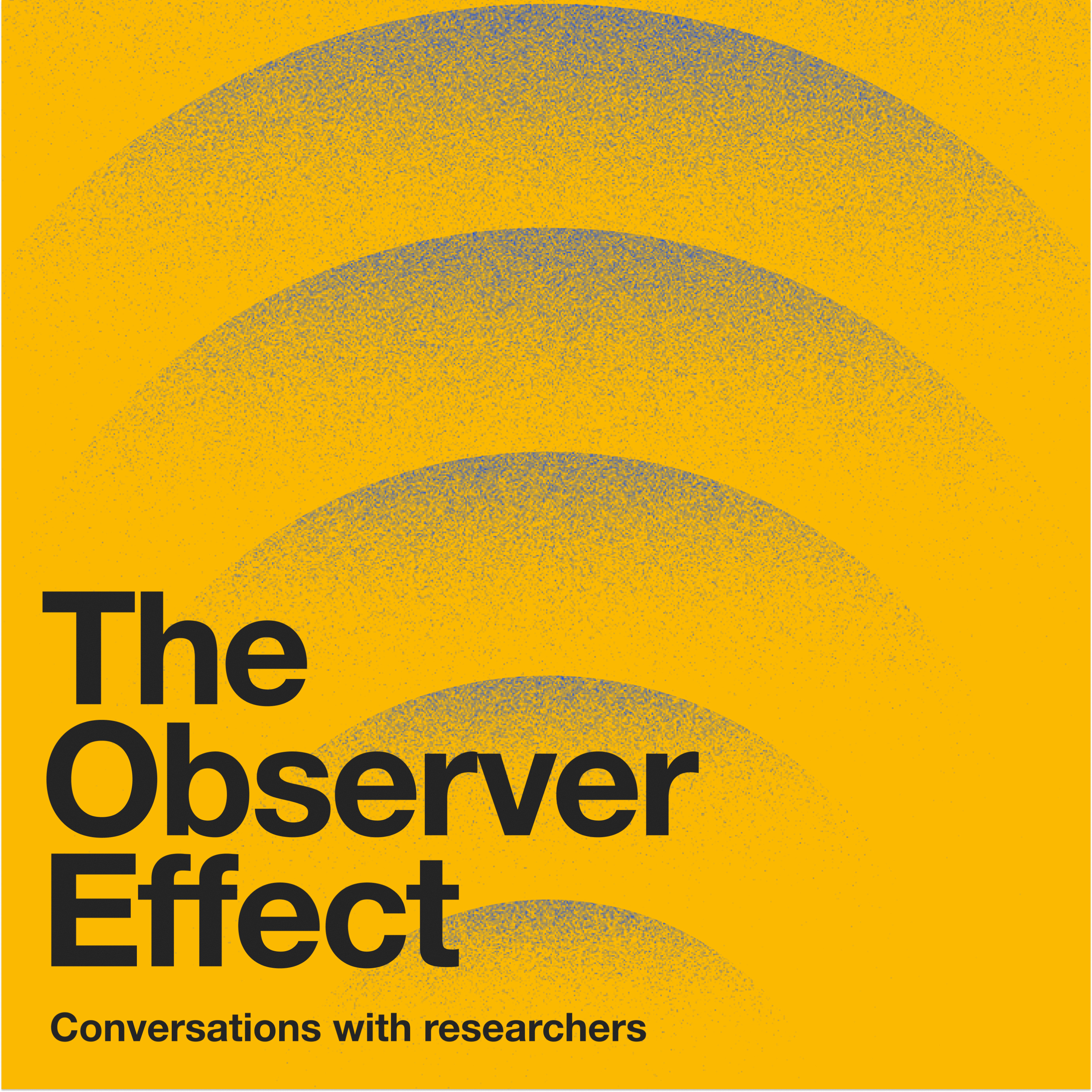 The Observer Effect: Conversations with Researchers cover art