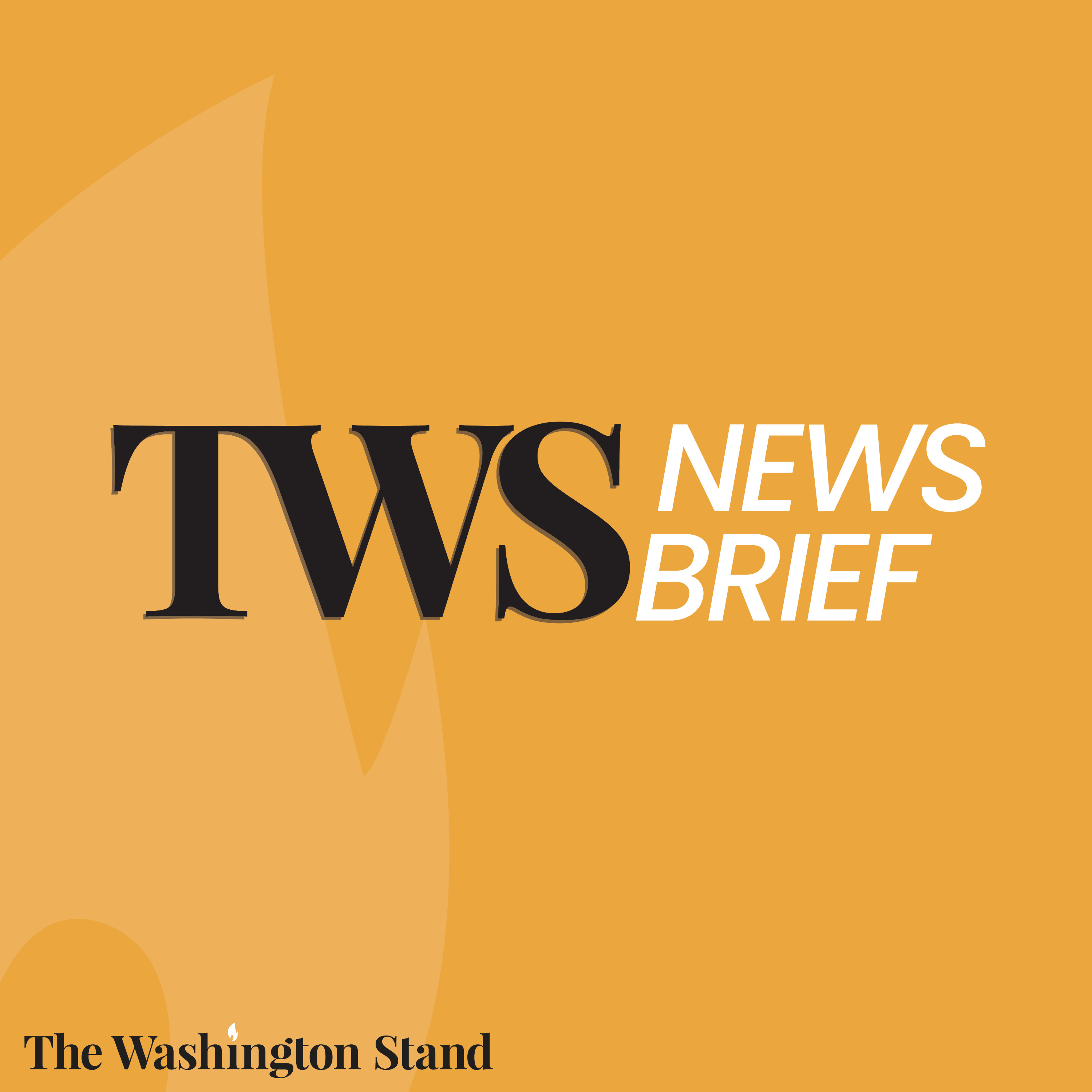 The Washington Stand News Brief cover art