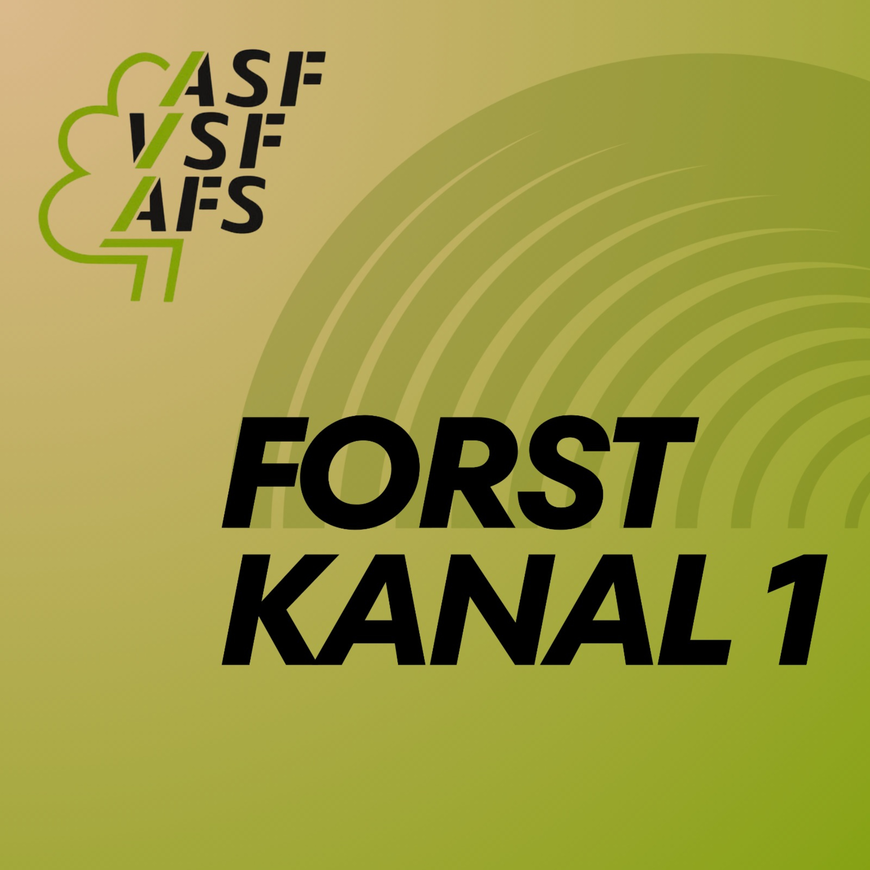 Forstkanal 1 cover art
