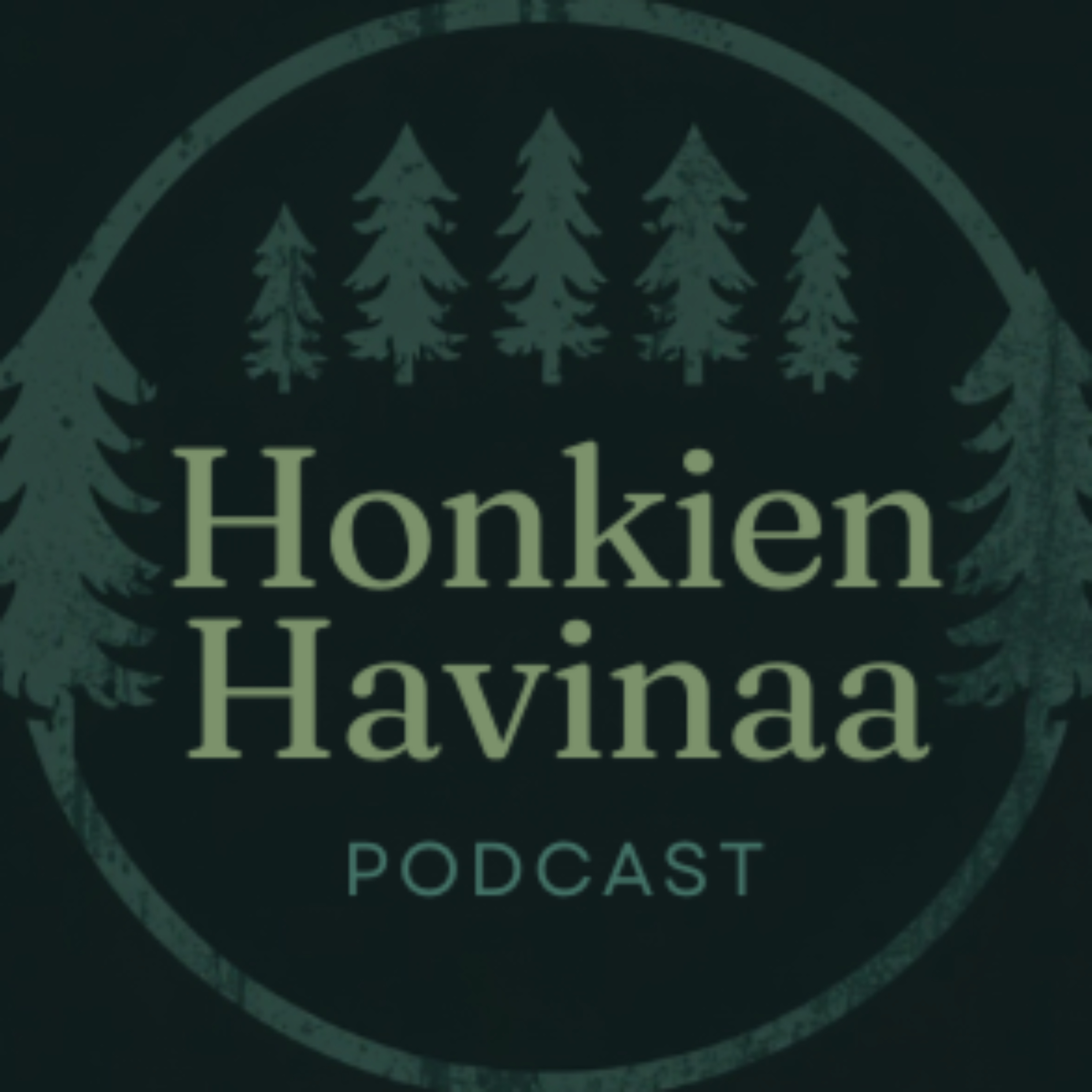 Honkien Havinaa cover art