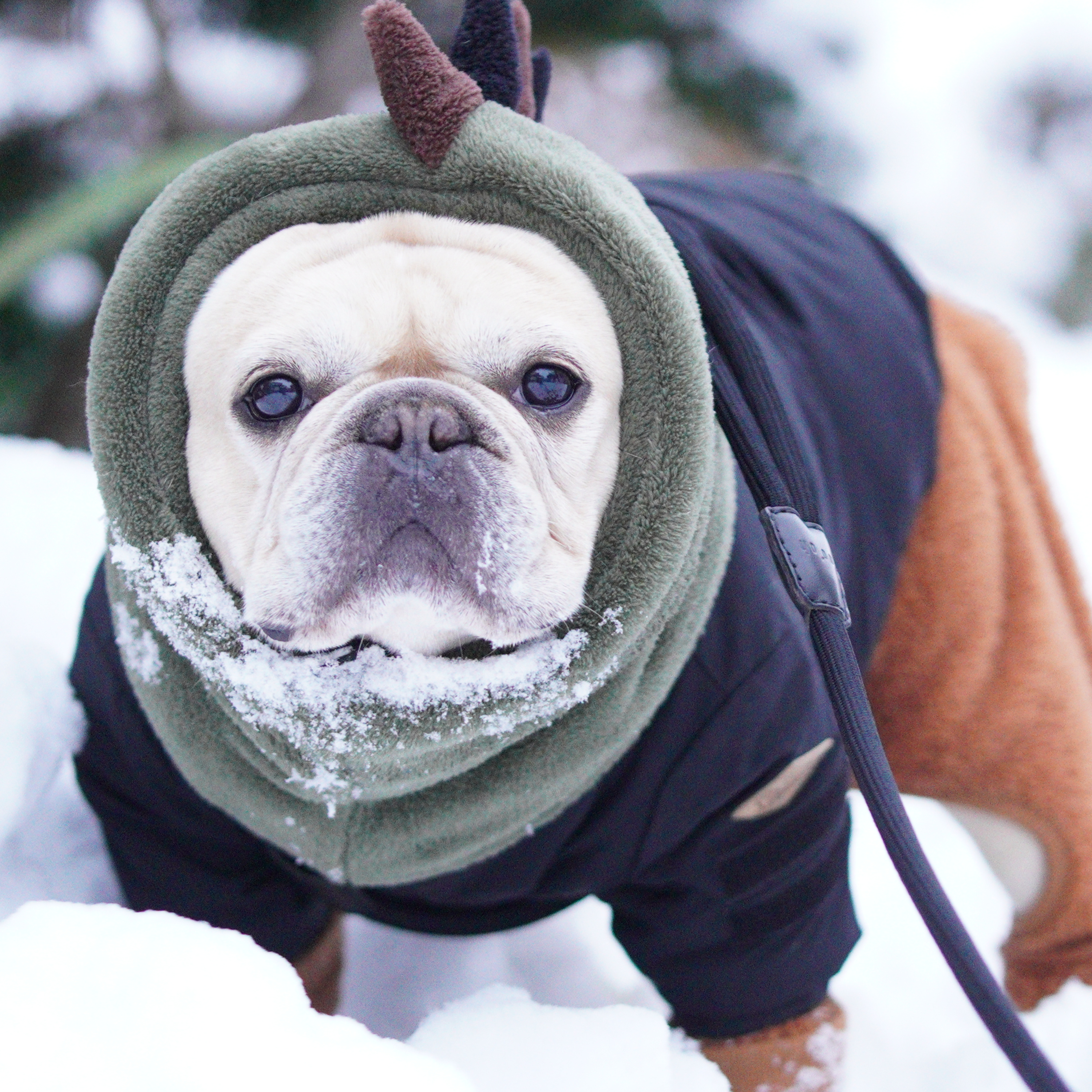 BUHIDAのだらだらラジオ cover art