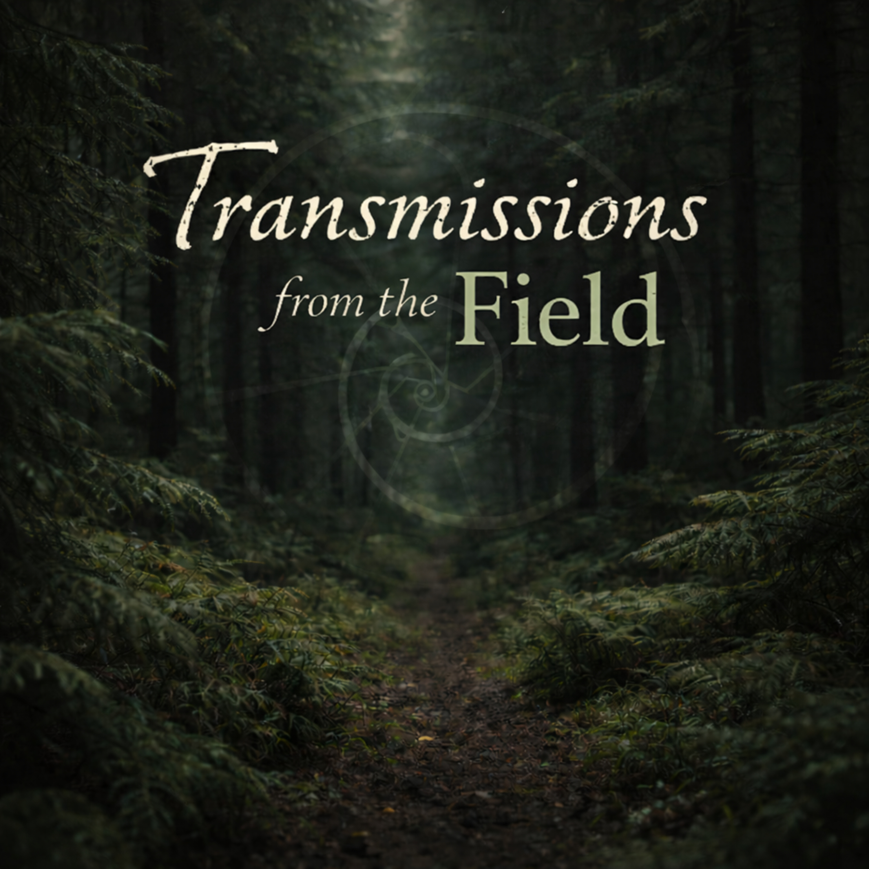 Transmissions from the Field cover art