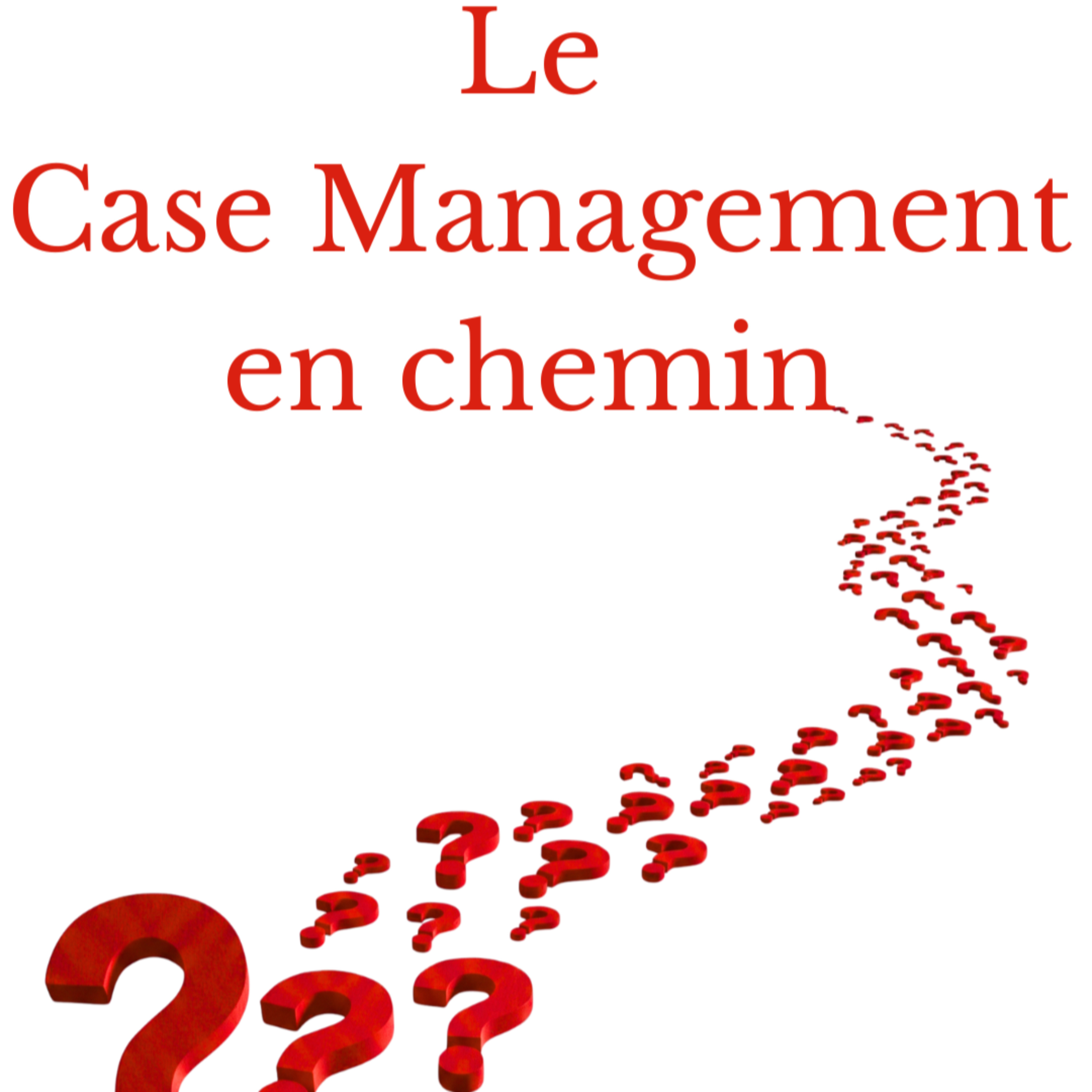 Le Case Management en chemin : la recherche autrement cover art