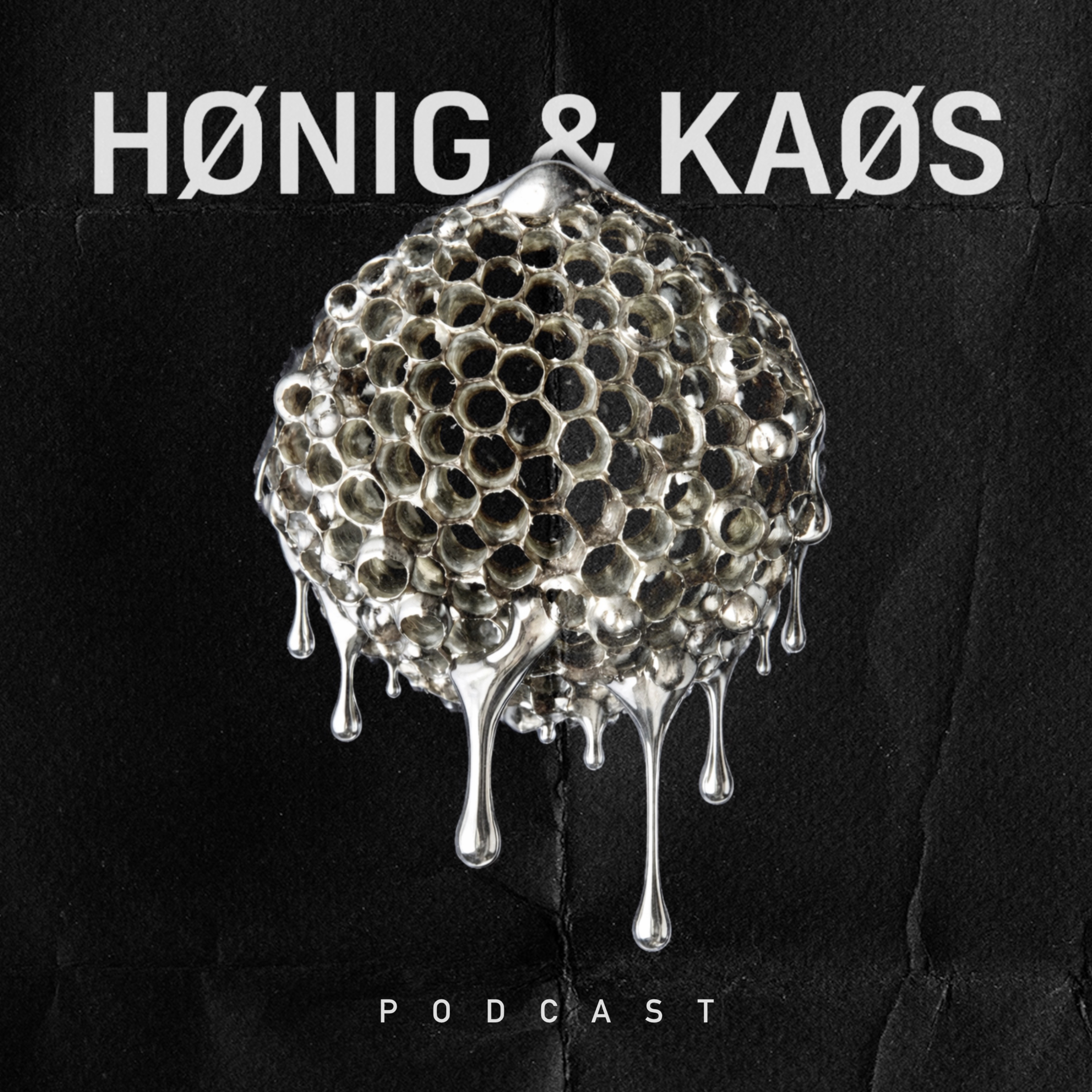 Honig & Kaos cover art