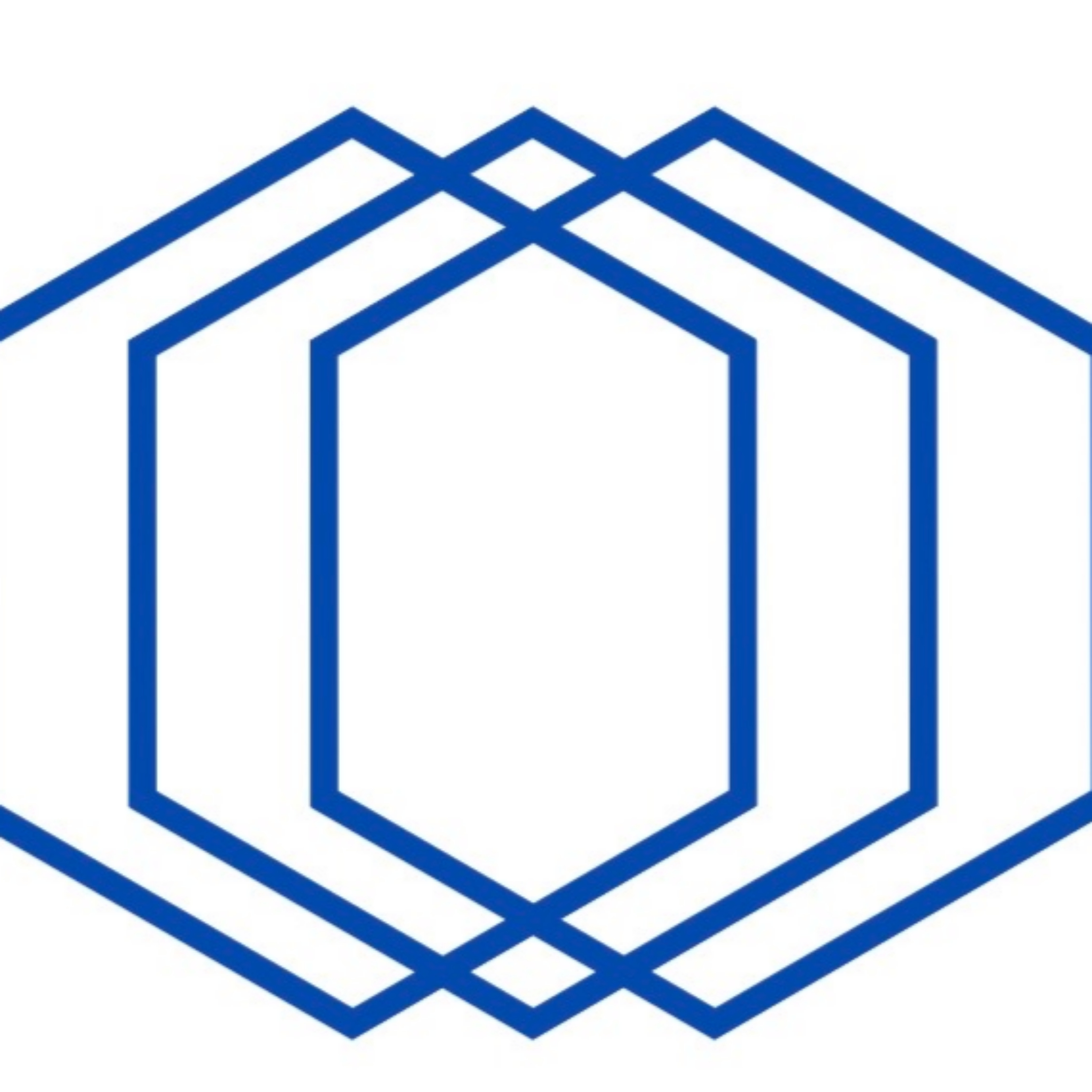 The American Model cover art