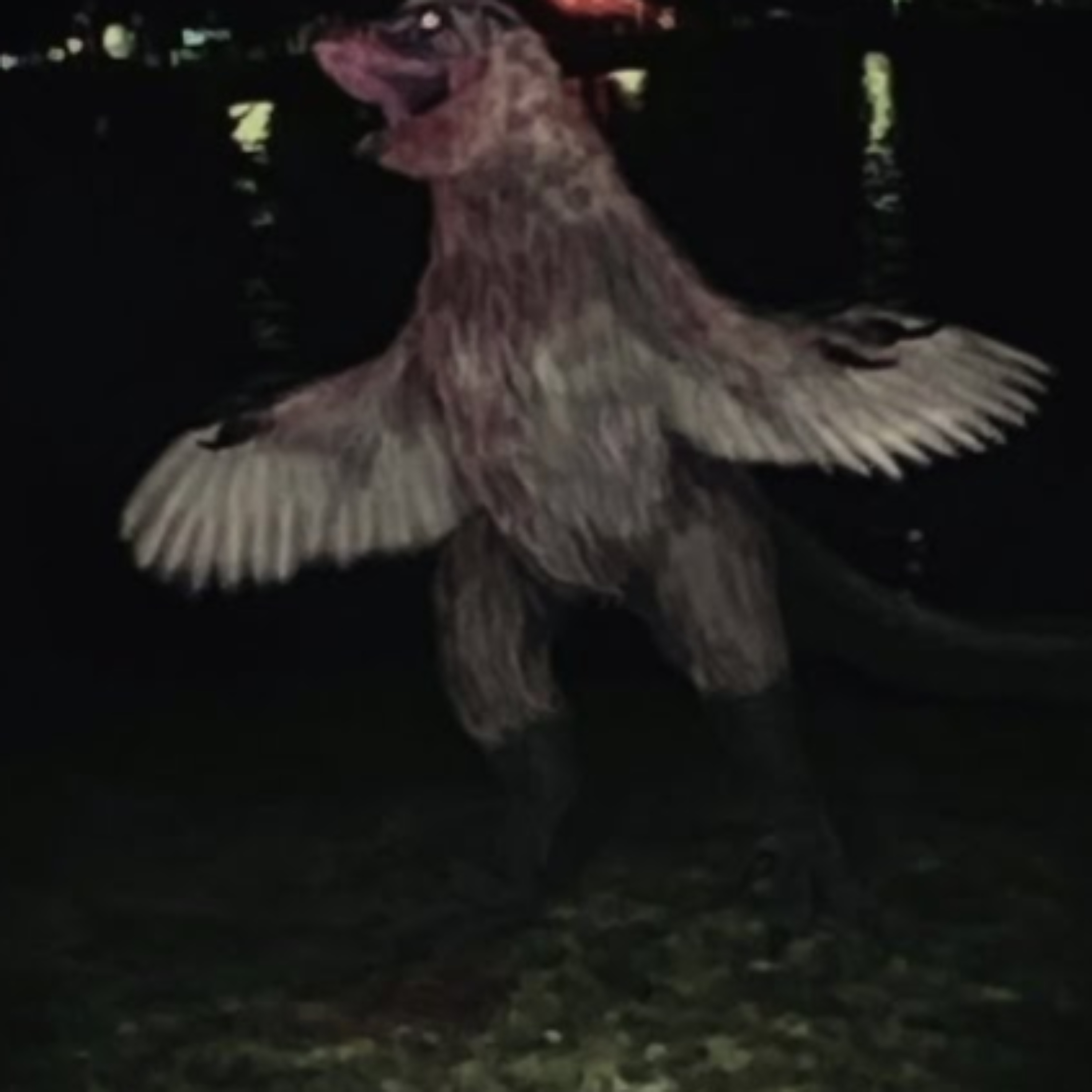 Twitter/Bluesky Stories