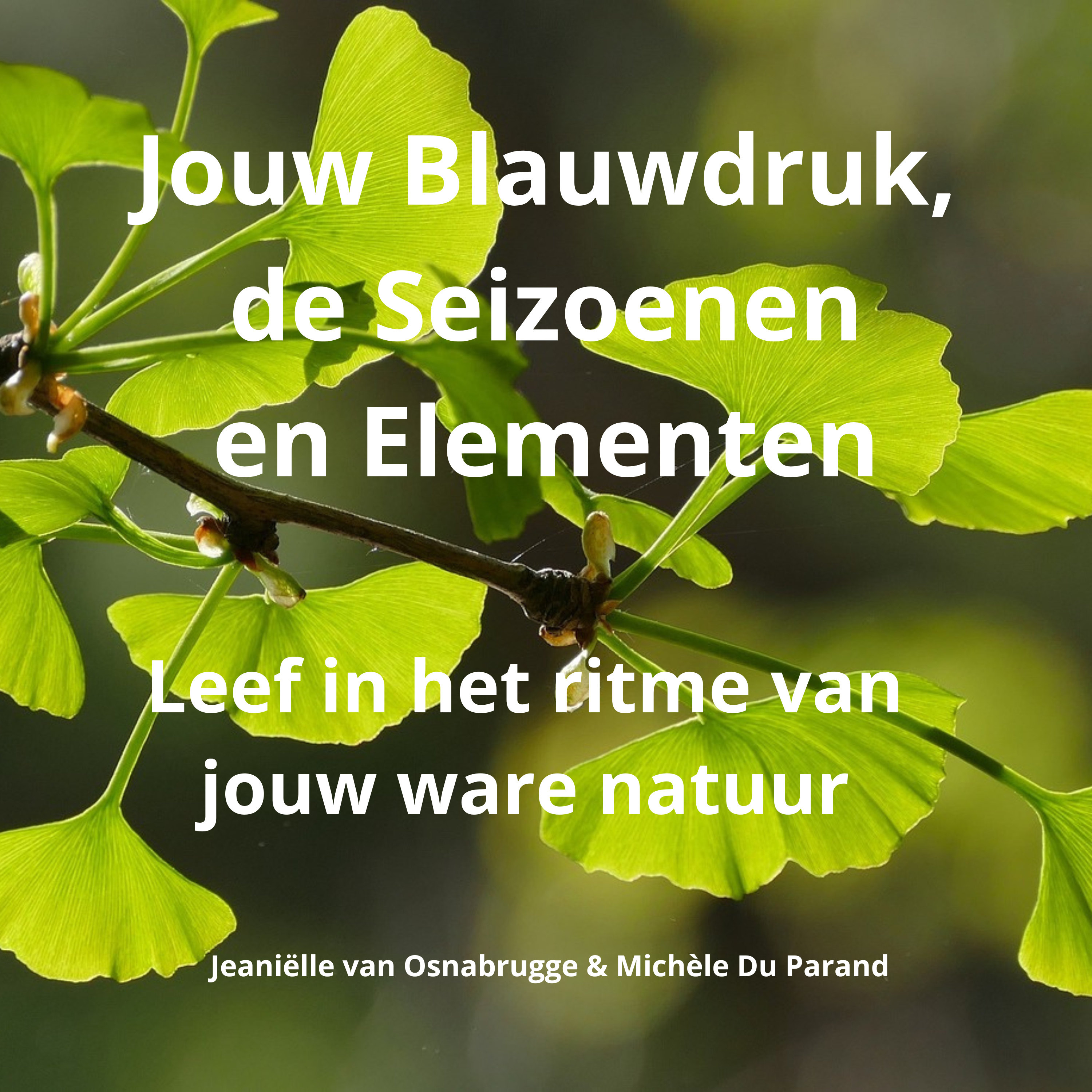 Jouw Blauwdruk, de Seizoenen en Elementen: Leef in het ritme van jouw ware natuur cover art