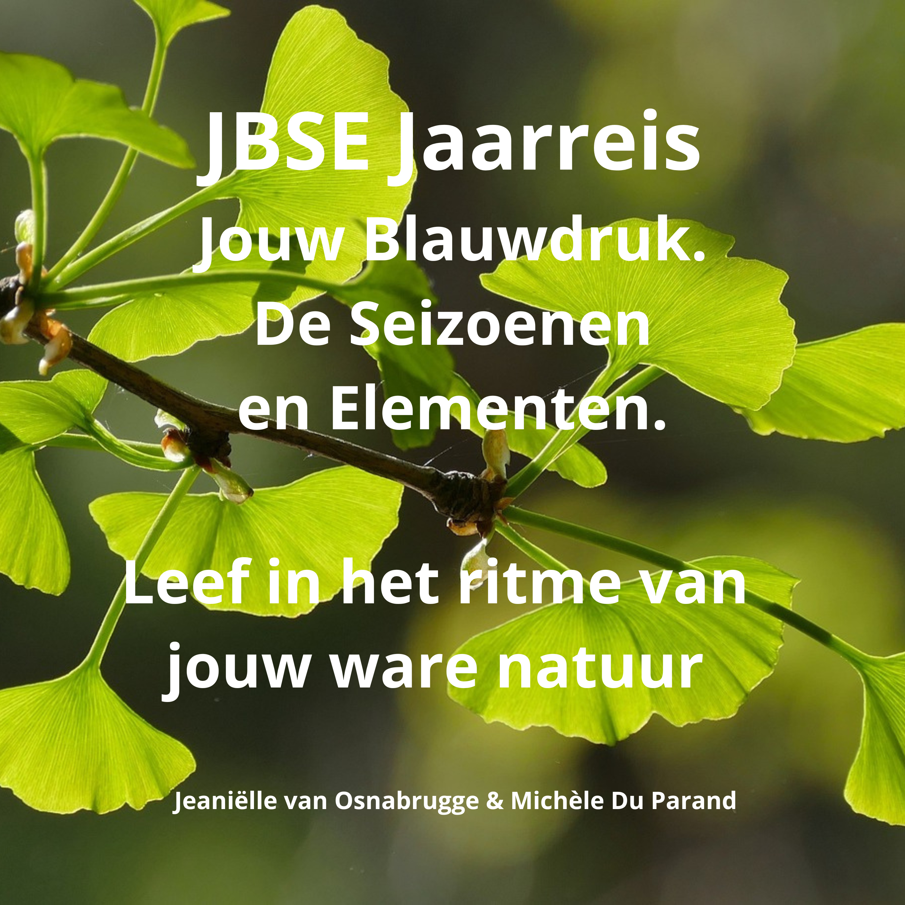 JBSE Jaarreis - Jouw Blauwdruk. De Seizoenen en Elementen: Leef in het ritme van jouw ware natuur