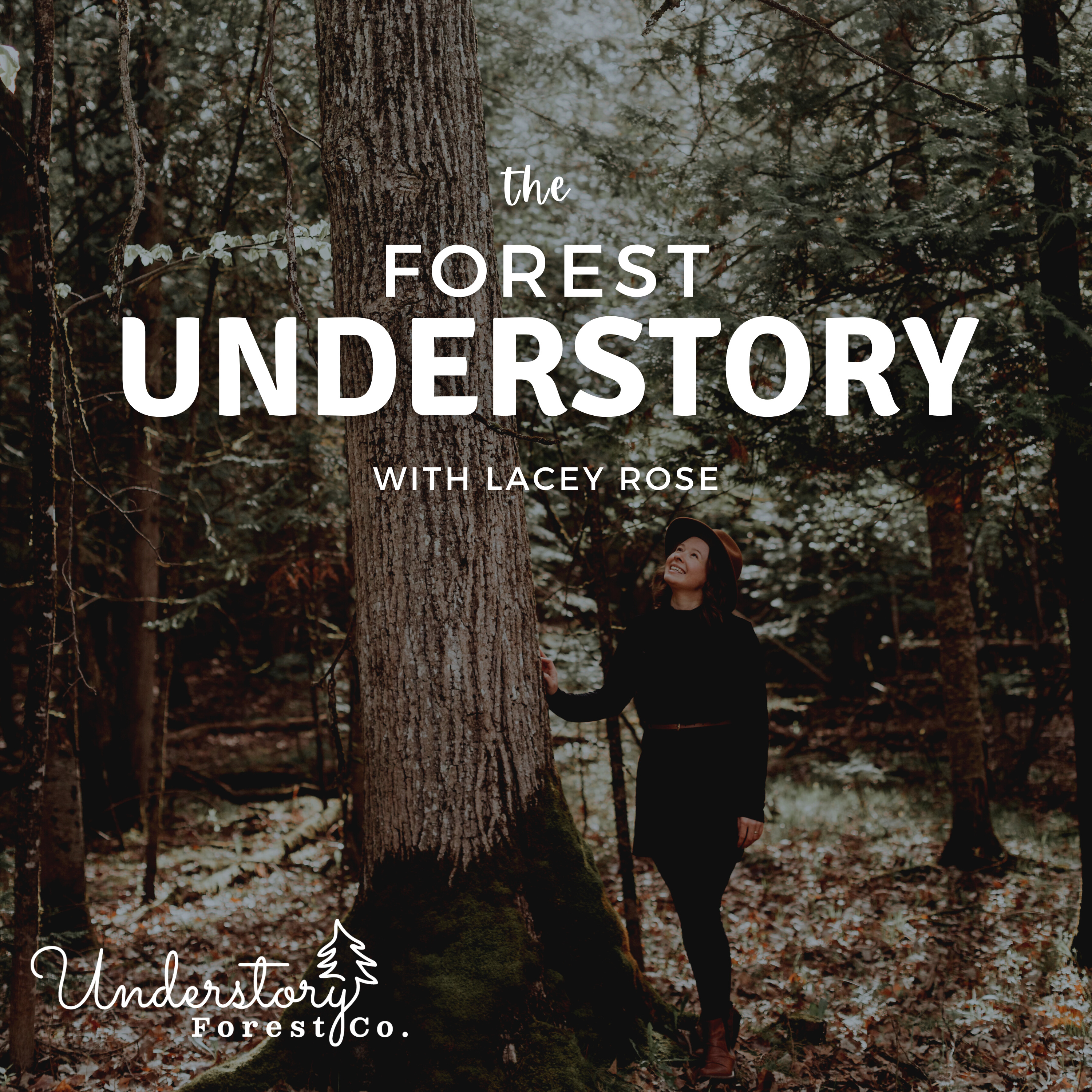 The Forest Understory cover art