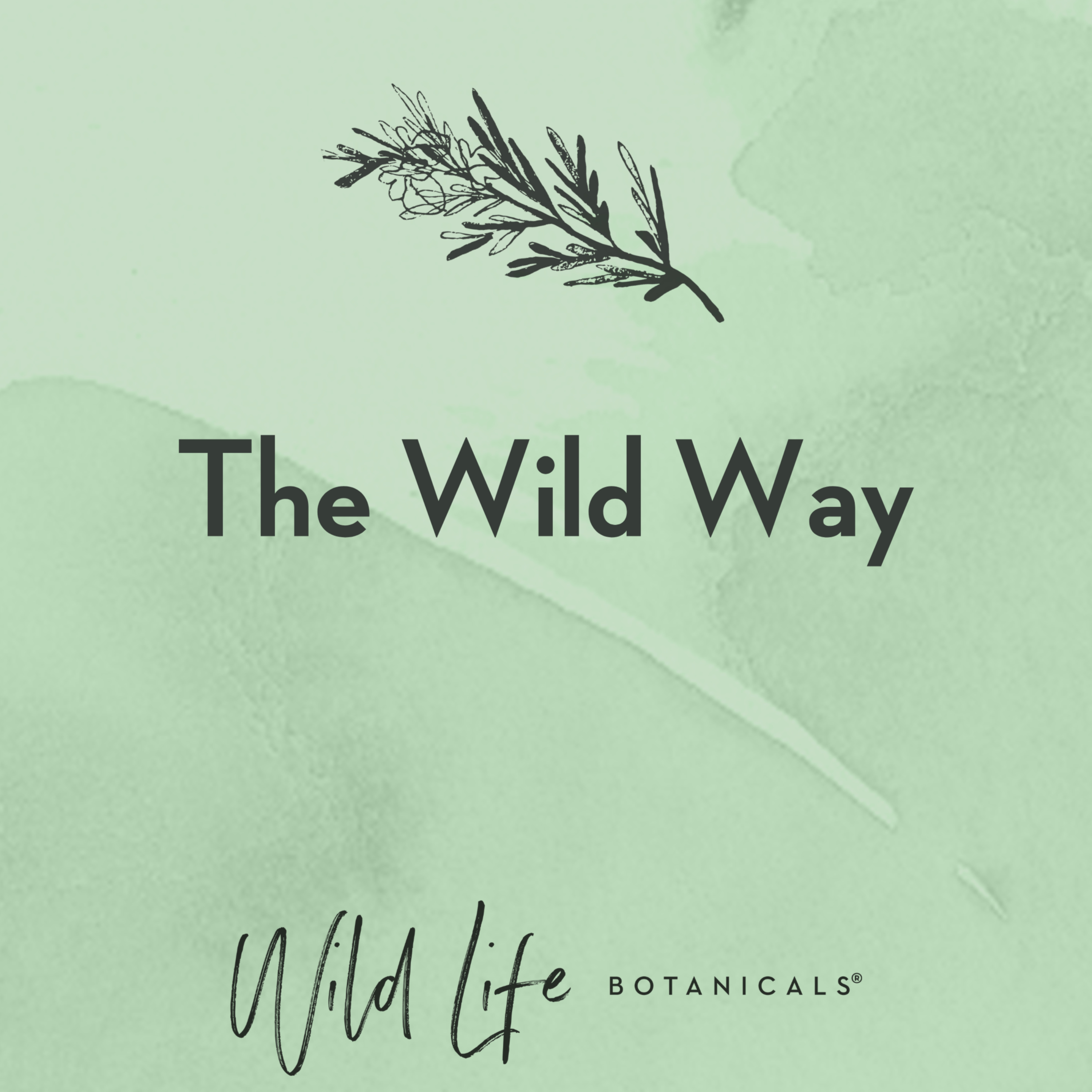 The Wild Way cover art