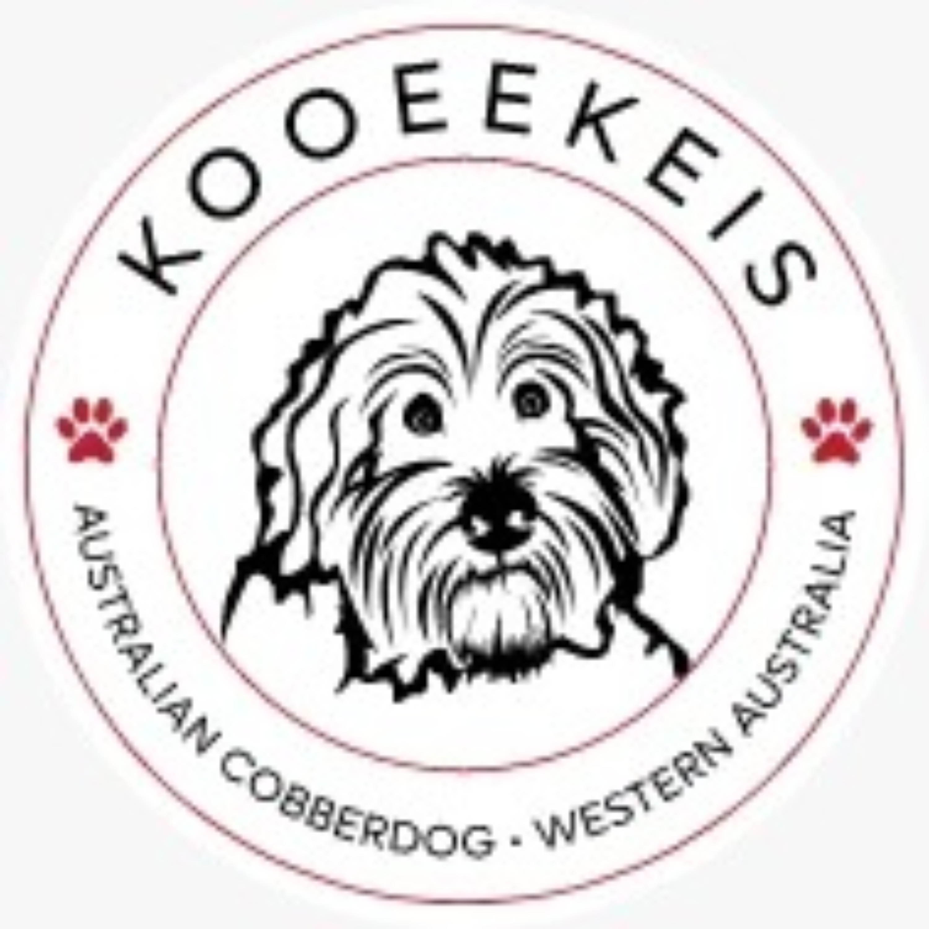 Australian Cobberdog Puppies cover art