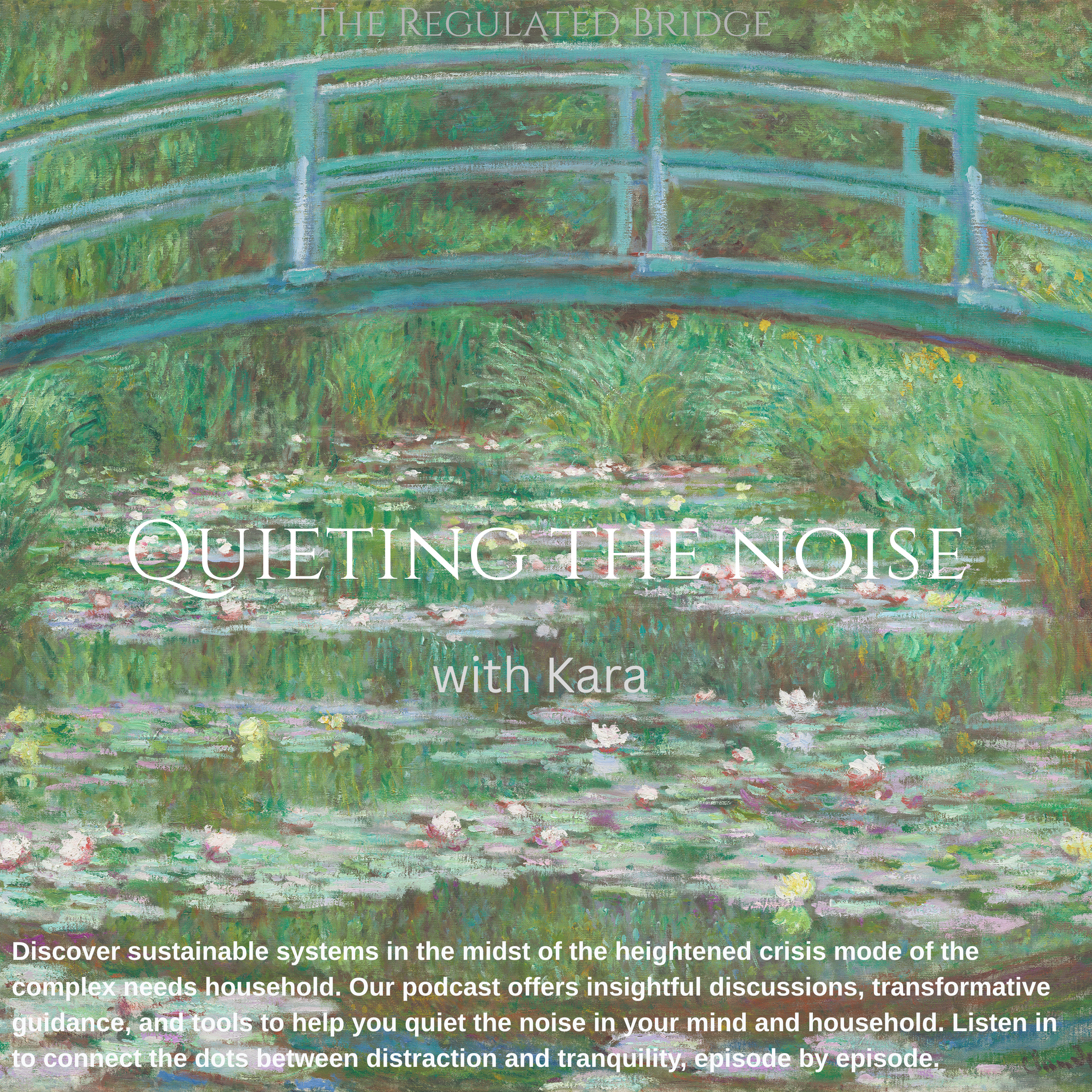 Quieting The Noise cover art