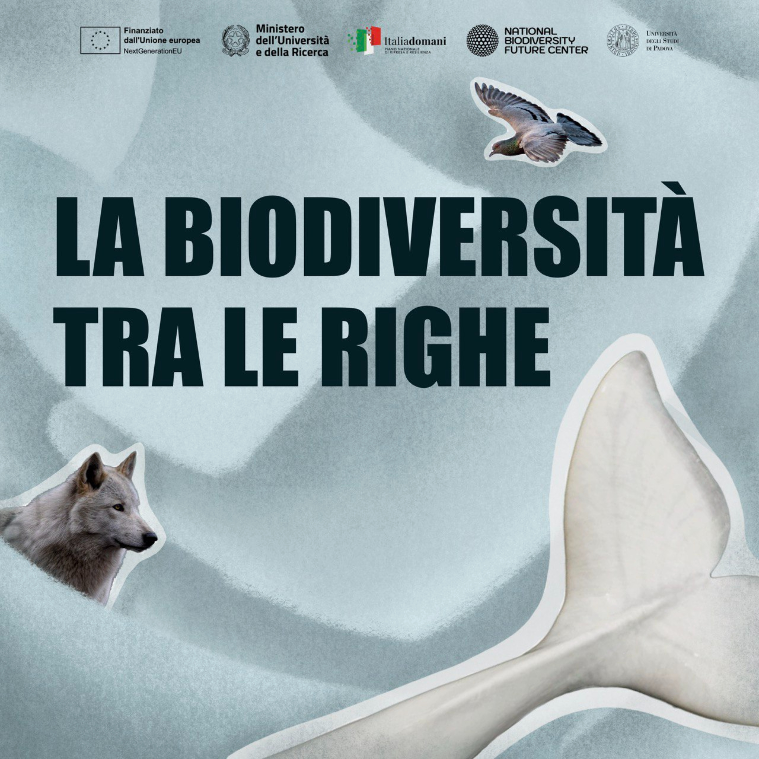 La biodiversità tra le righe