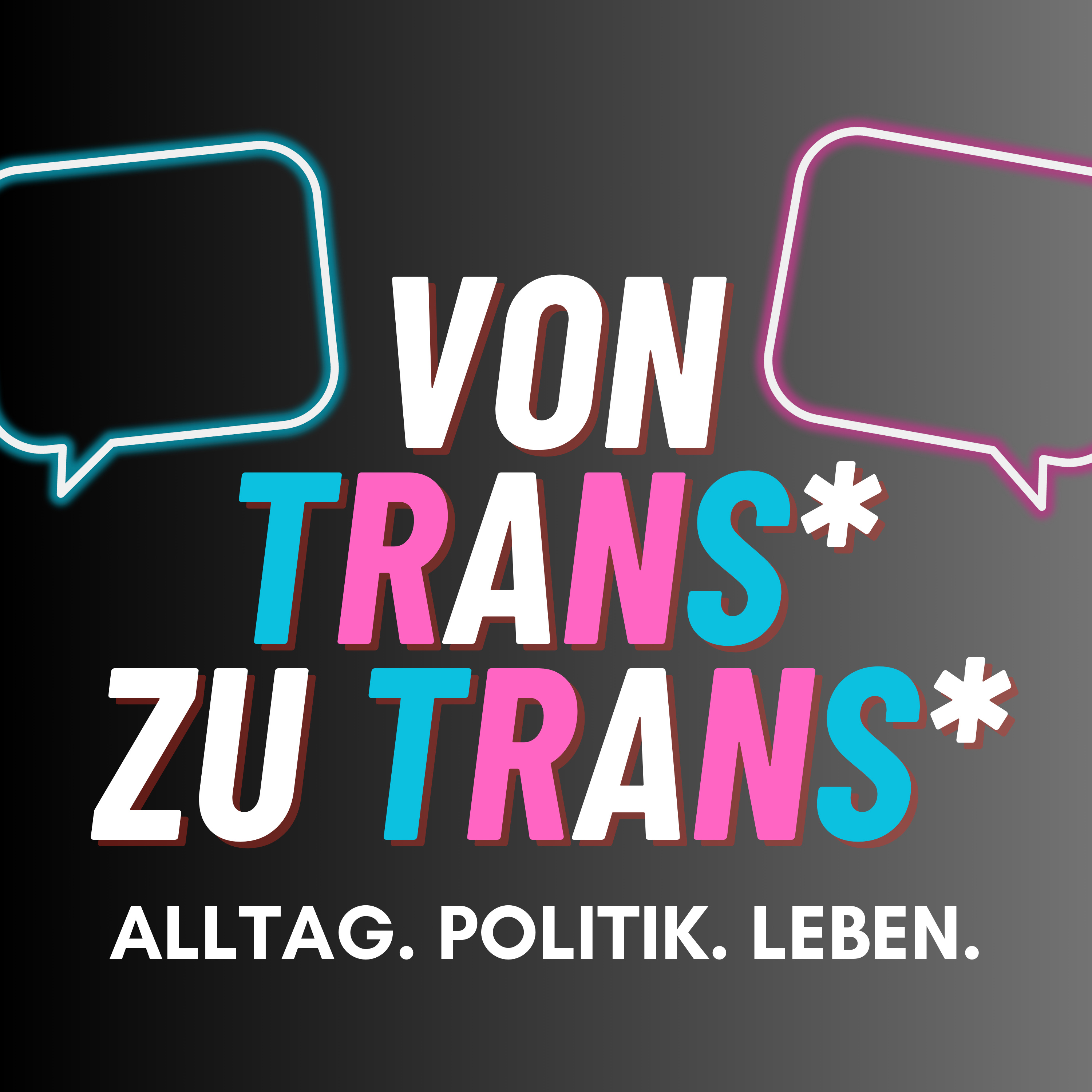 von trans zu trans – Alltag. Politik. Leben. podcast artwork