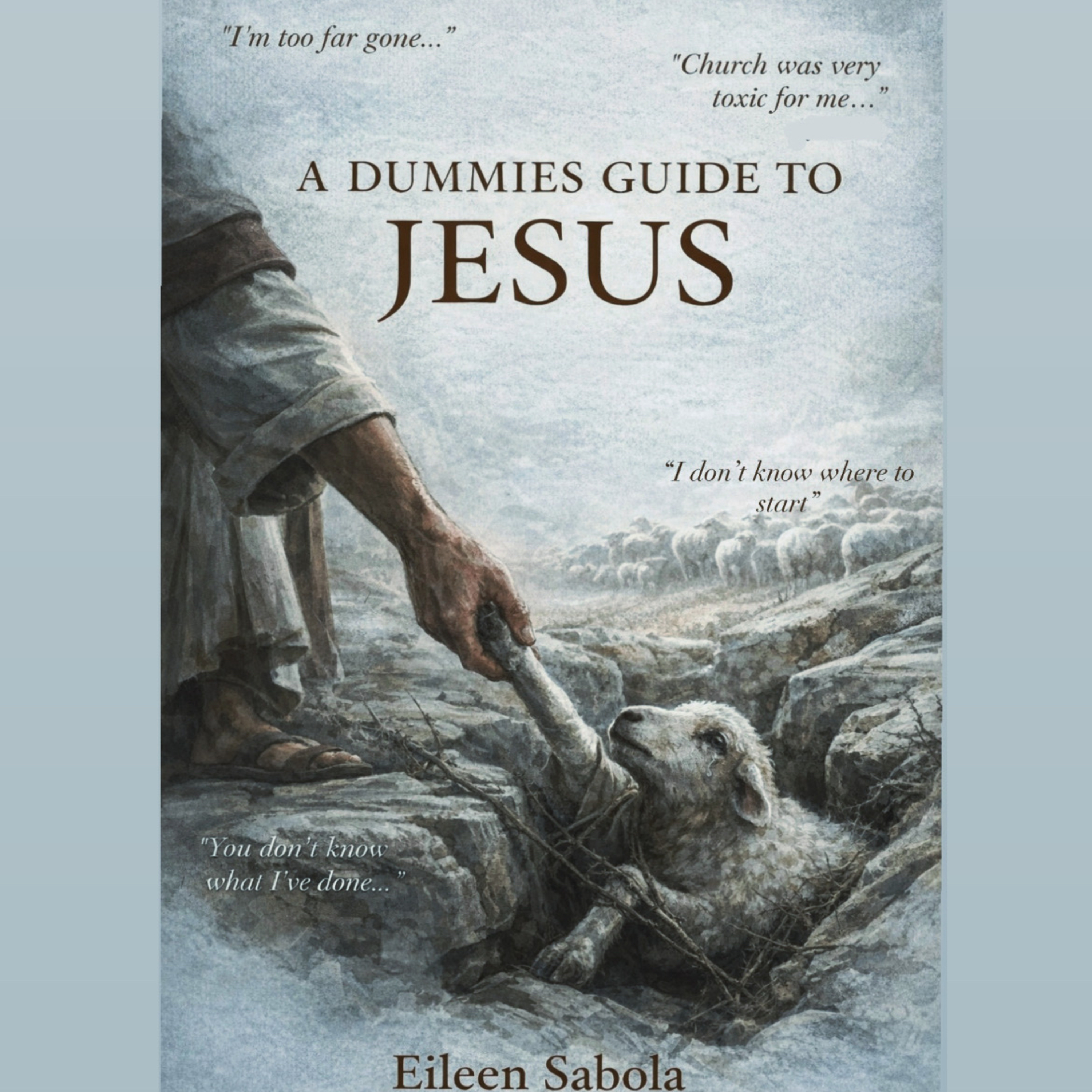 Dummies Guide To Jesus 🤍 cover art