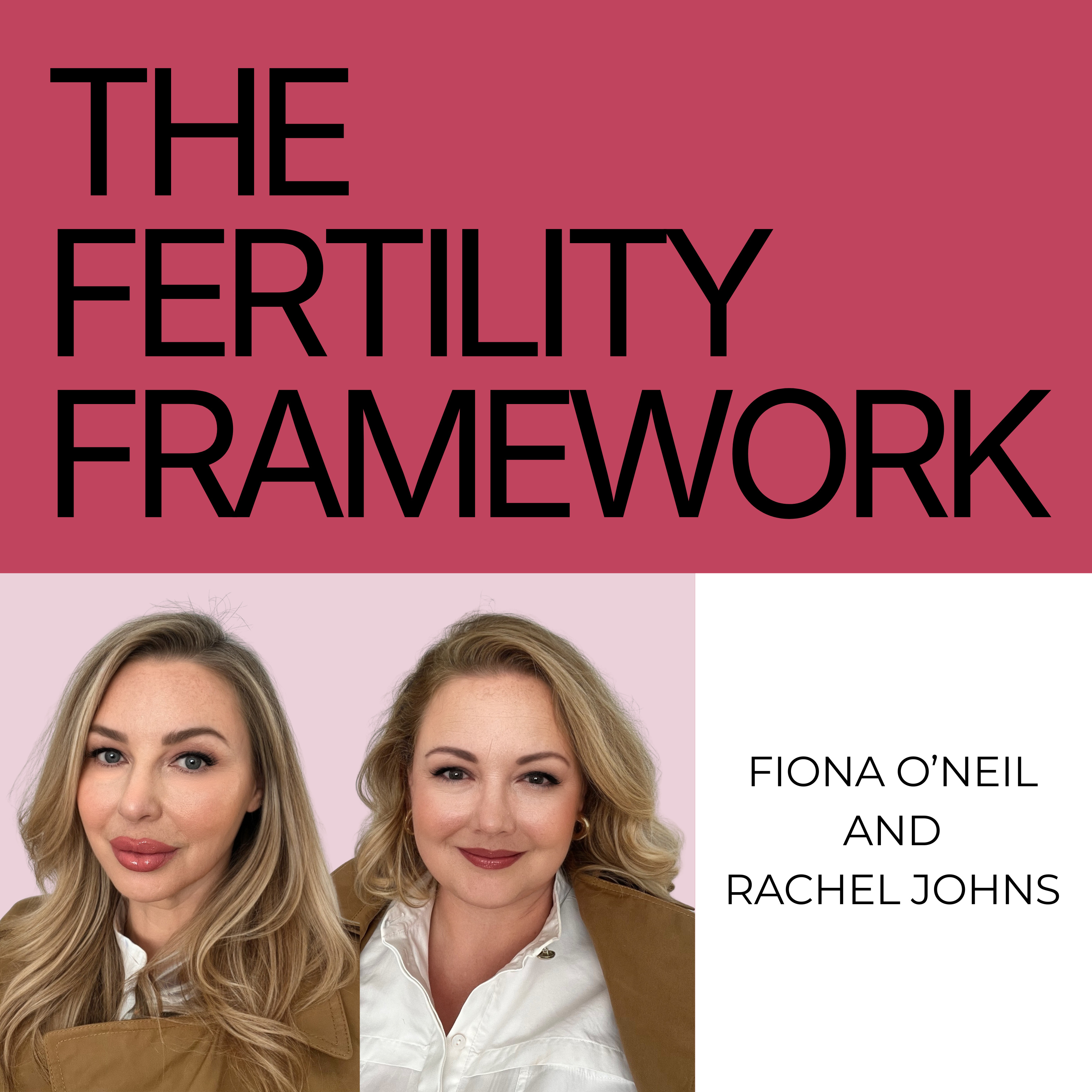 The Fertility Framework cover art