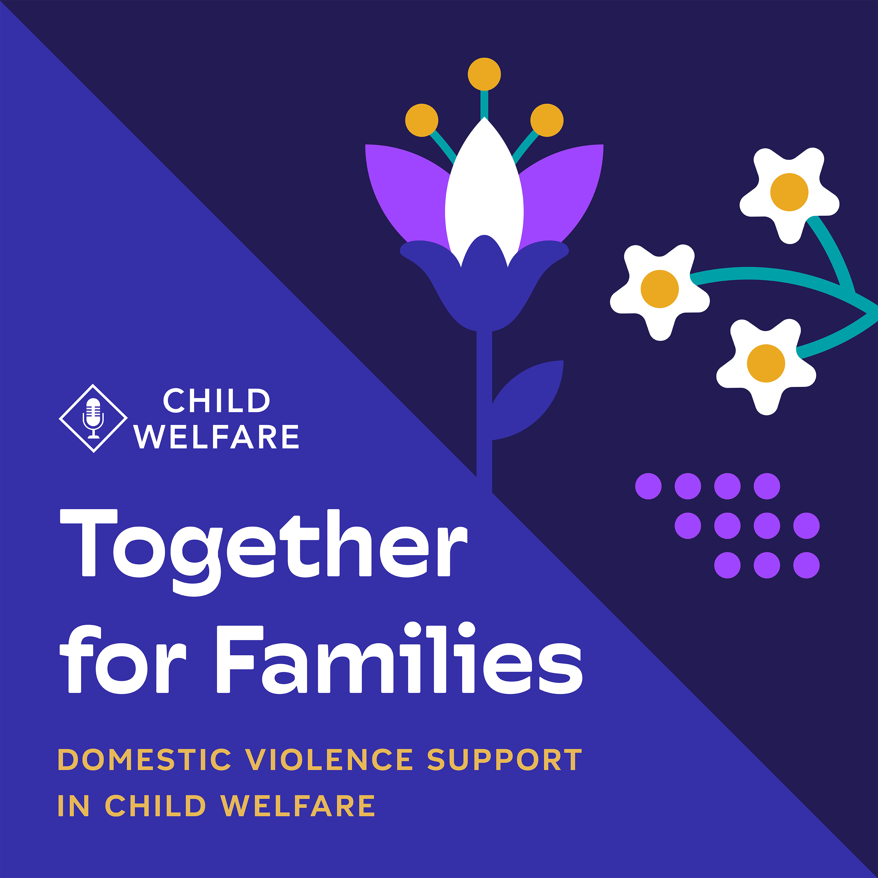 Together for Families: Domestic Violence Support in Child Welfare cover art