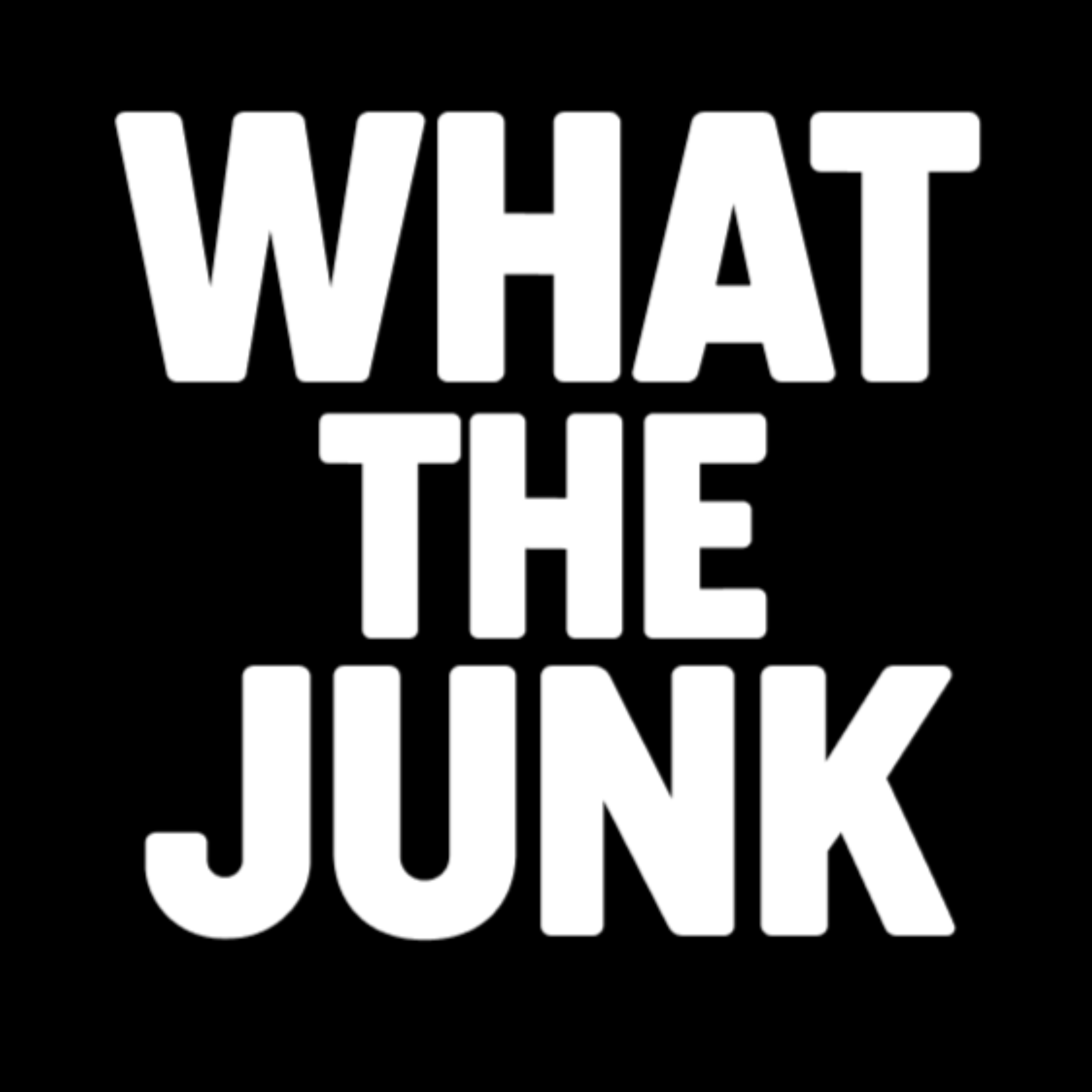 What the Junk cover art