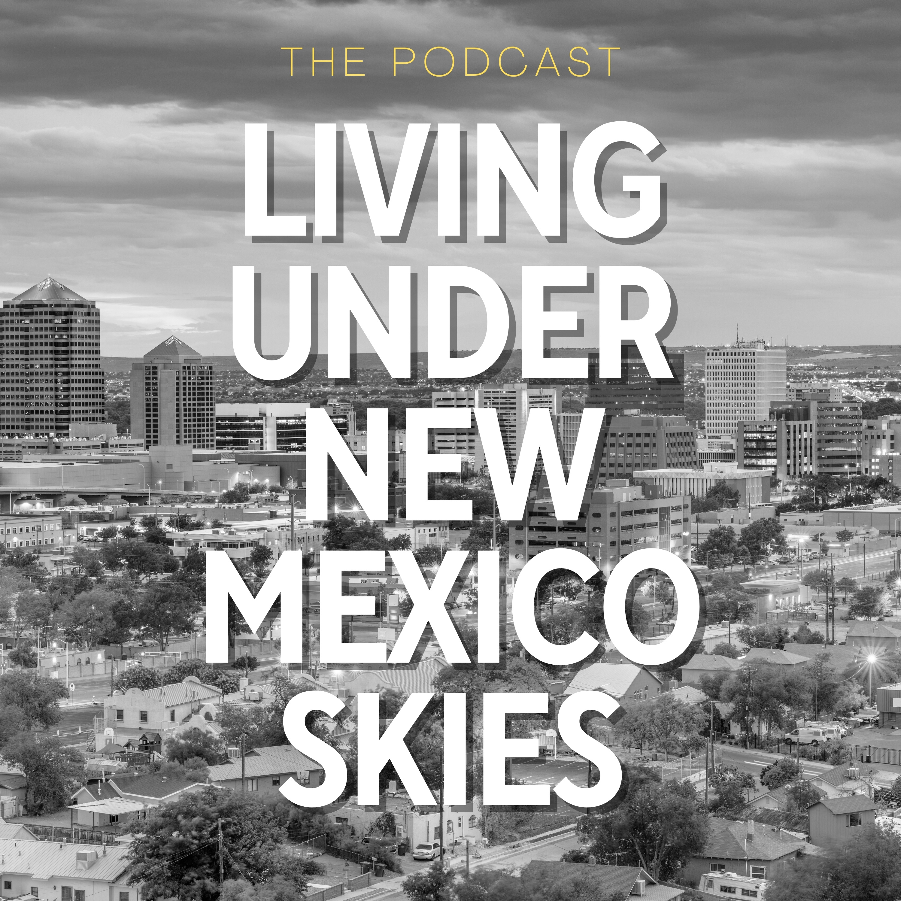 Living Under New Mexico Skies cover art