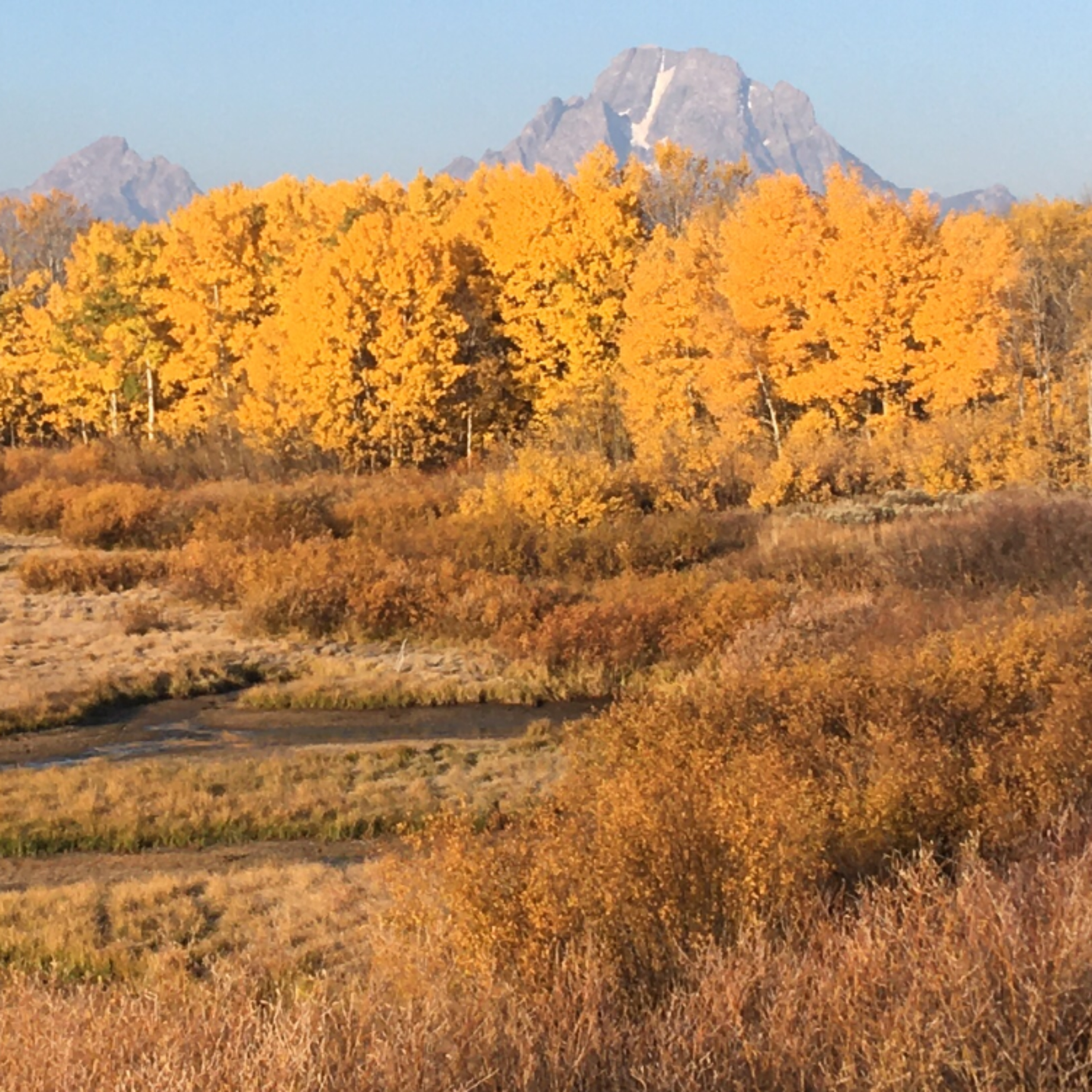 Lifter-Uppers cover art