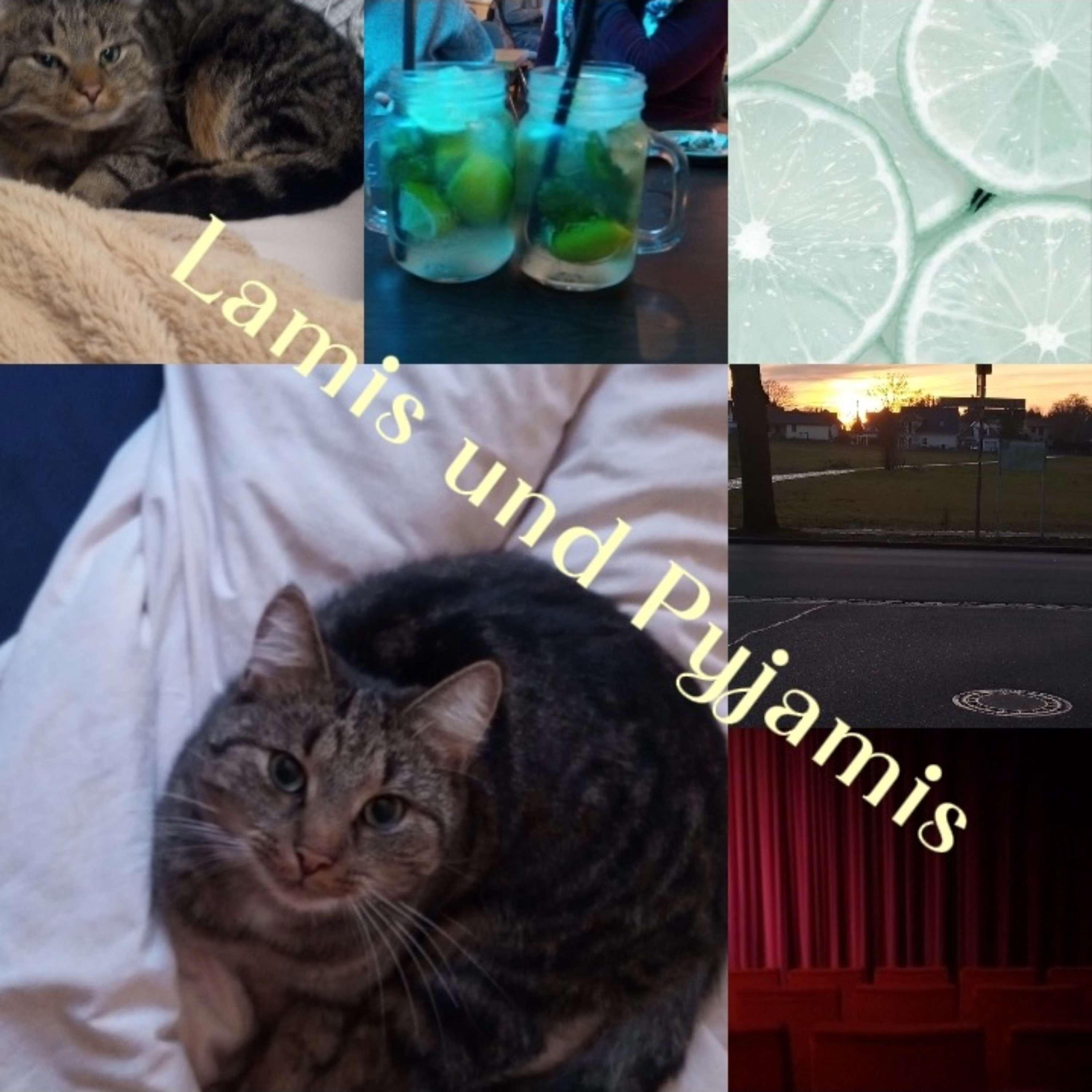 Lamis und Pyjamis podcast artwork