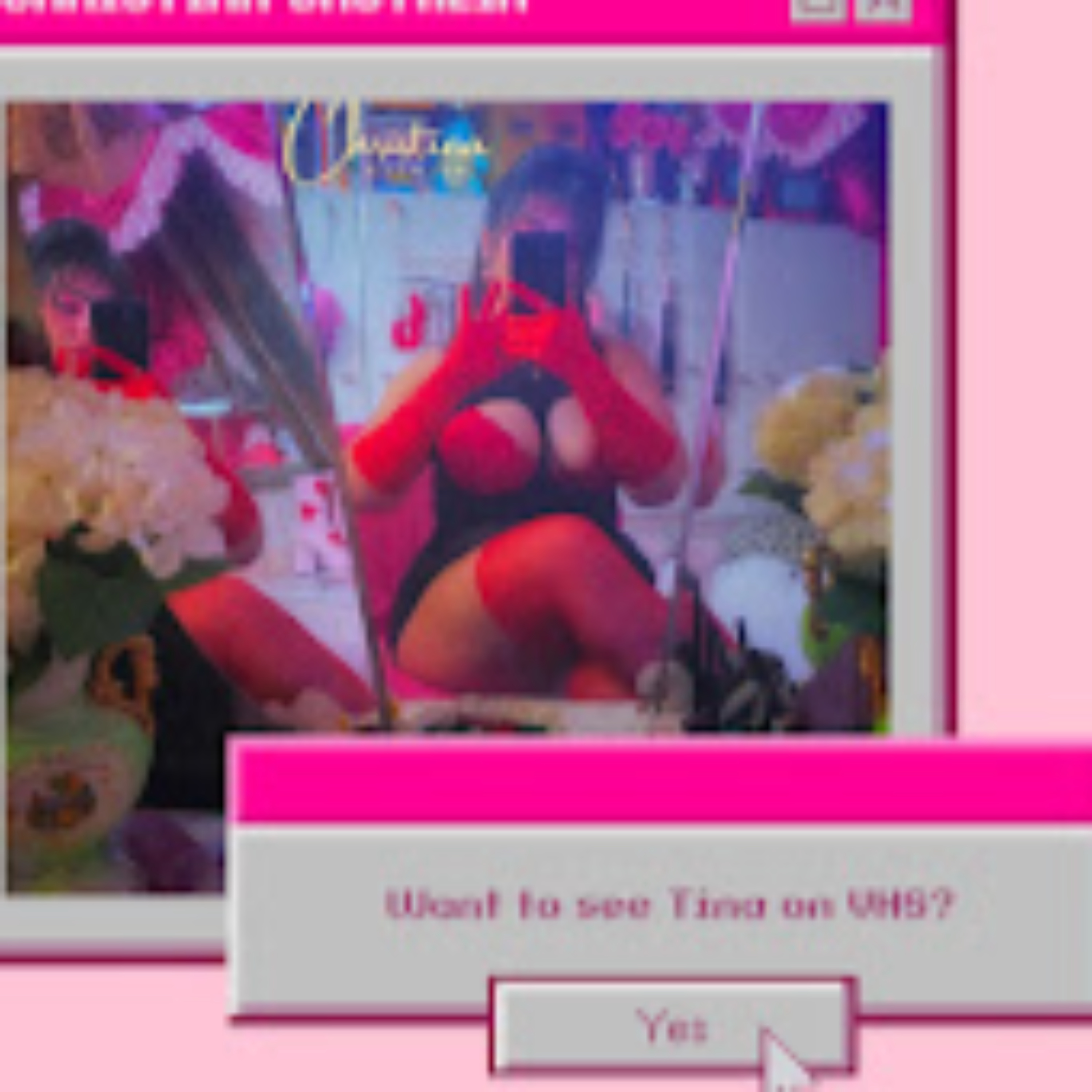 Tina on VHS cover art