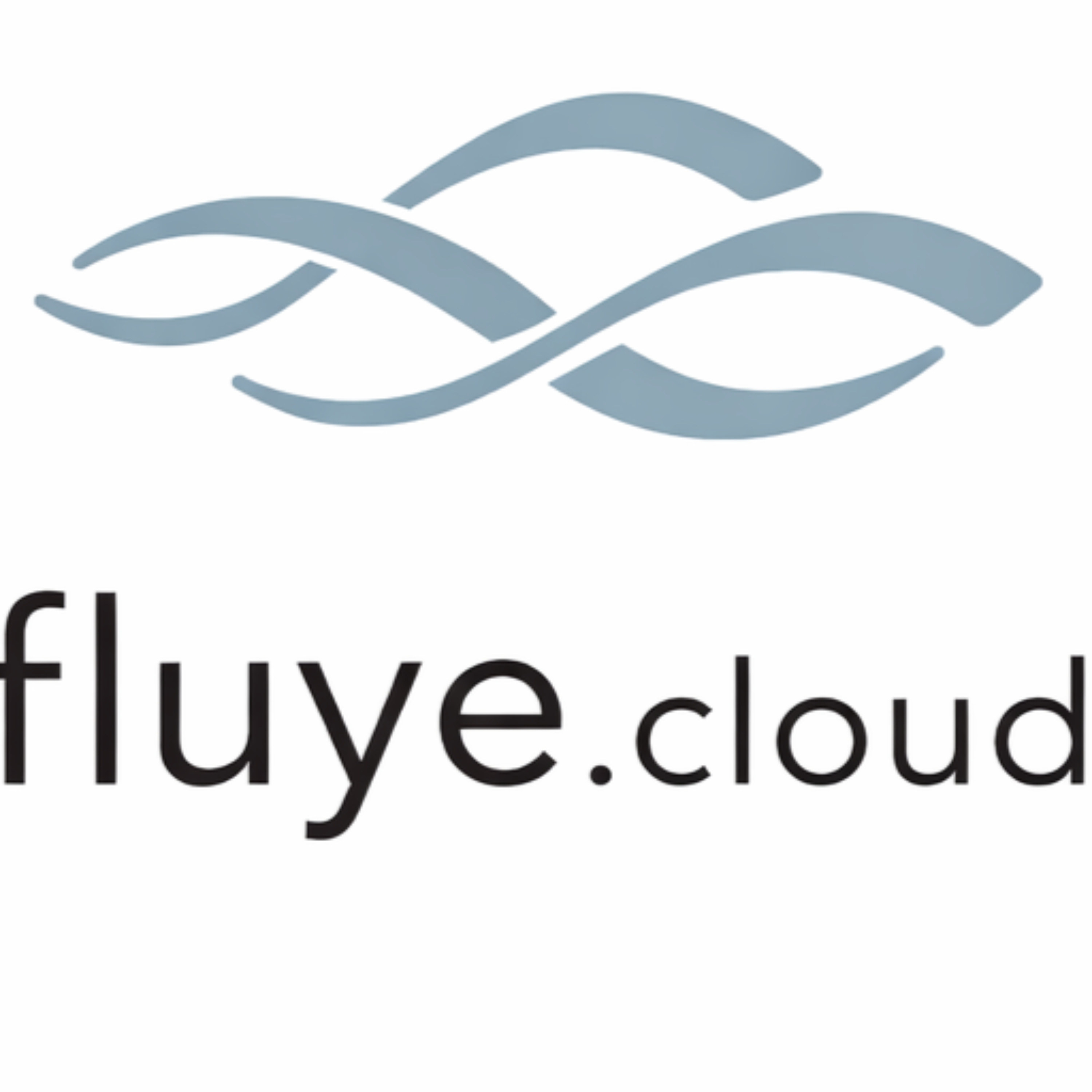 fluye.cloud — Un proceso en construcción