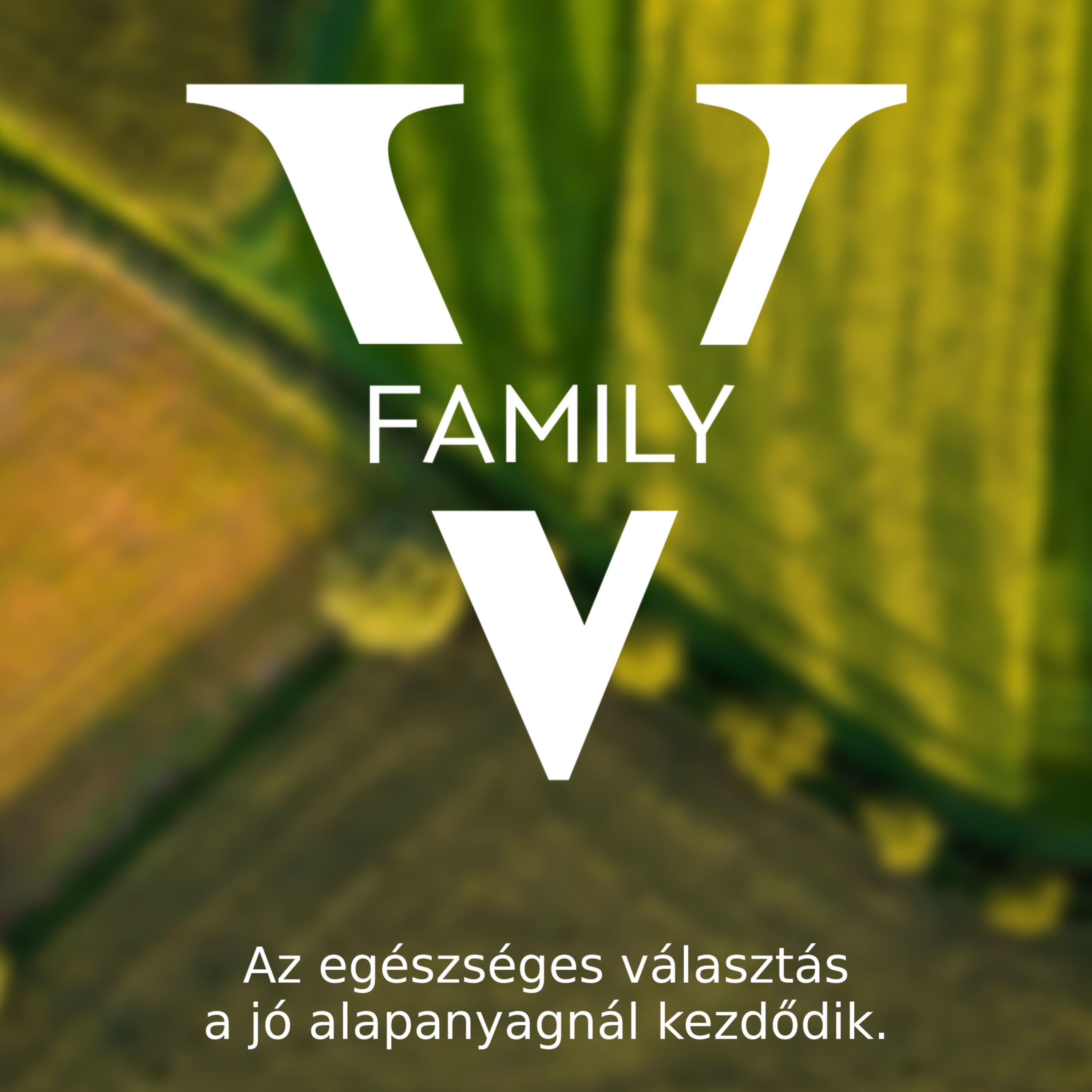 VFAMILY mini-epizód cover art