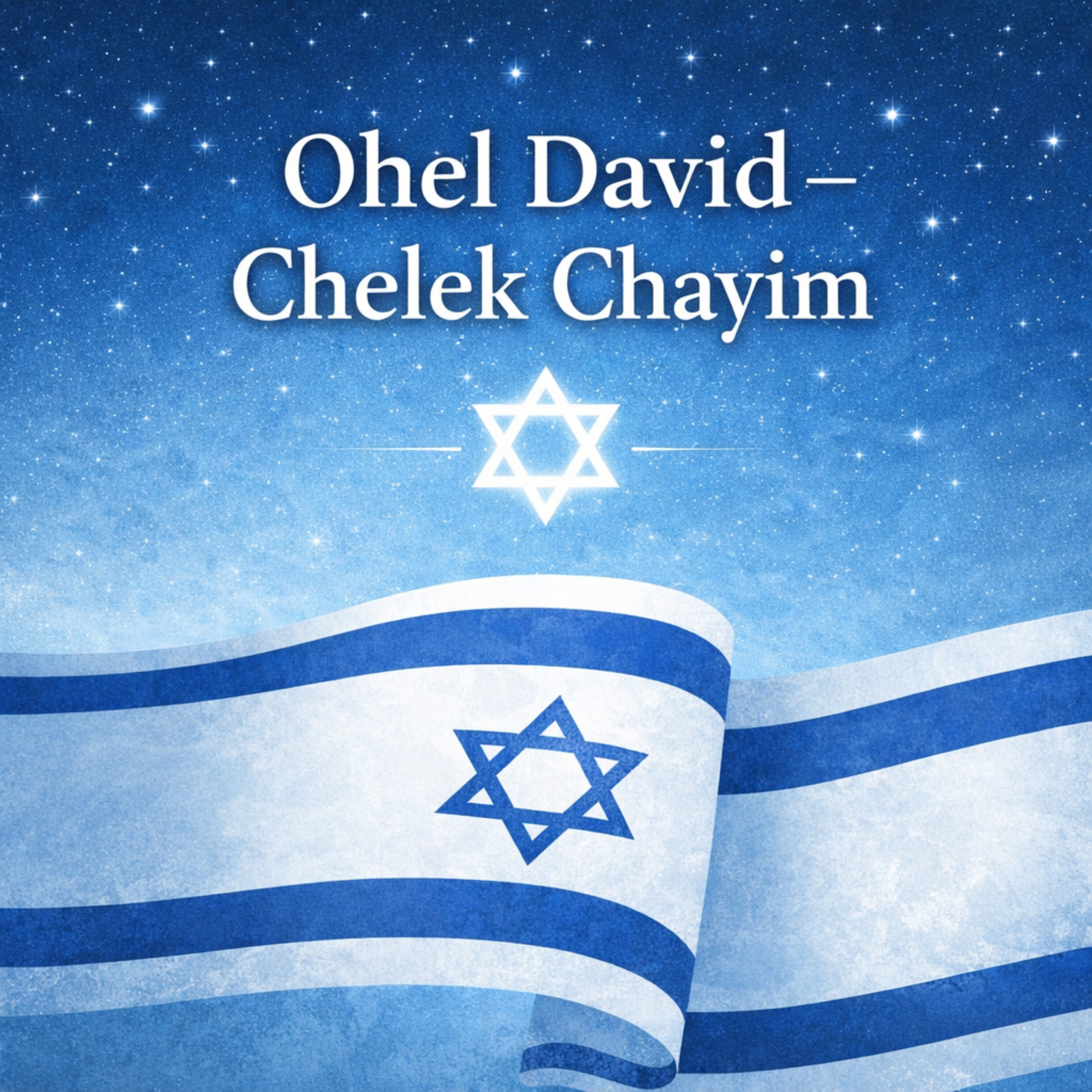 Ohel David - Chelek Chayim cover art