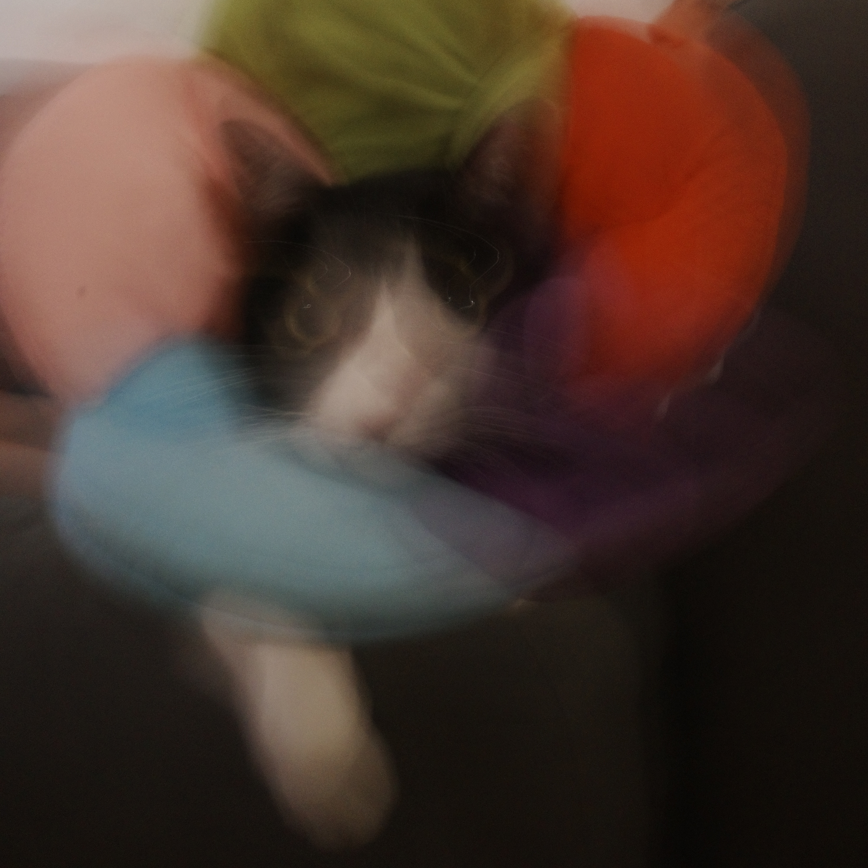 泥板