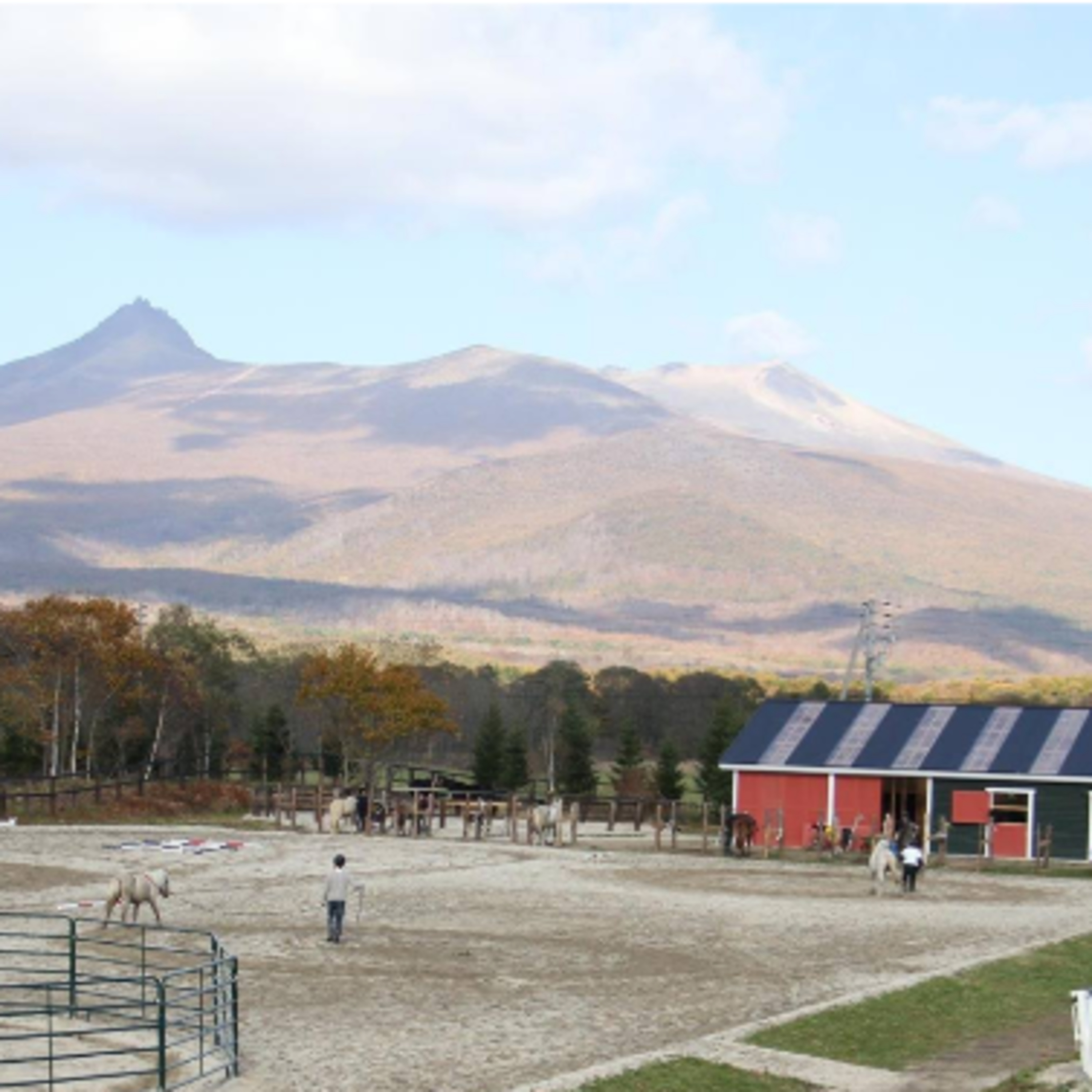 牧場のこども園スーホ cover art