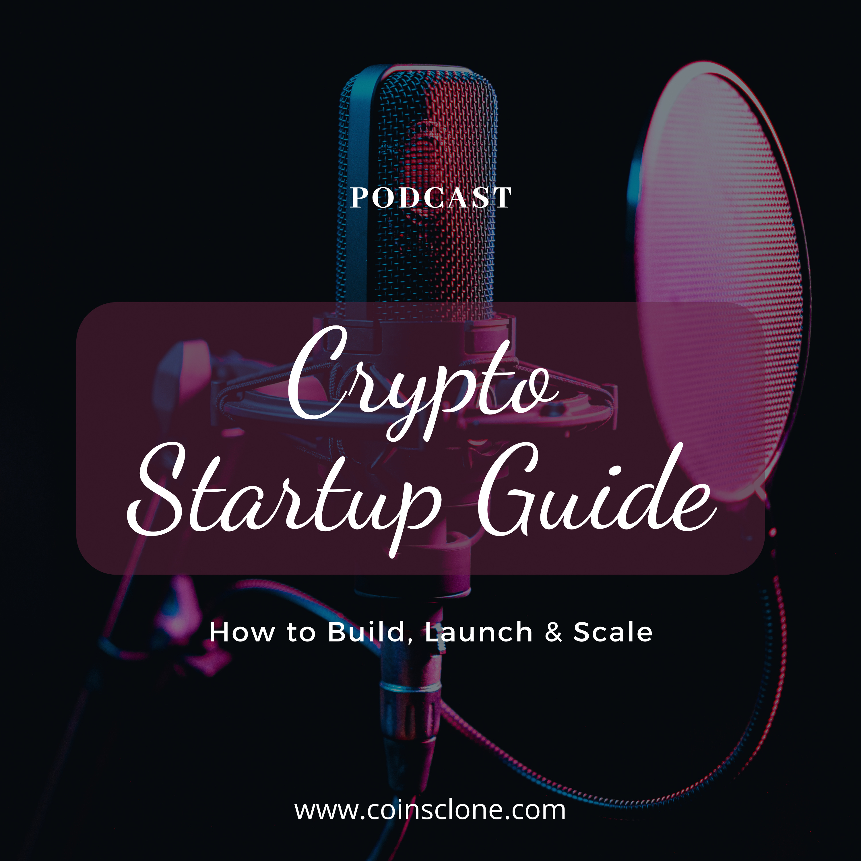 The Crypto Startup Guide – How to Build, Launch & Scale cover art