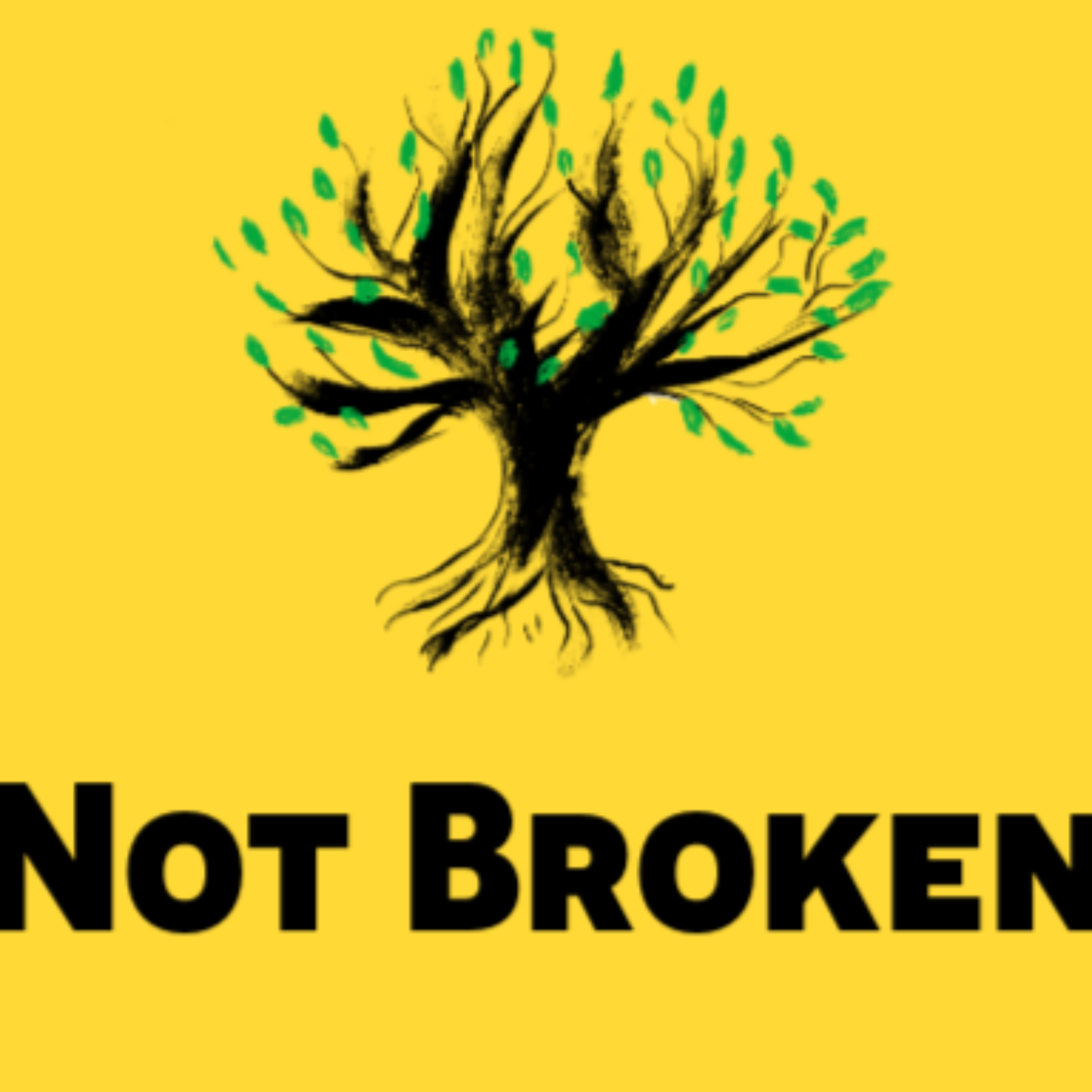 Not Broken: The Fat Loss and Energy Reset