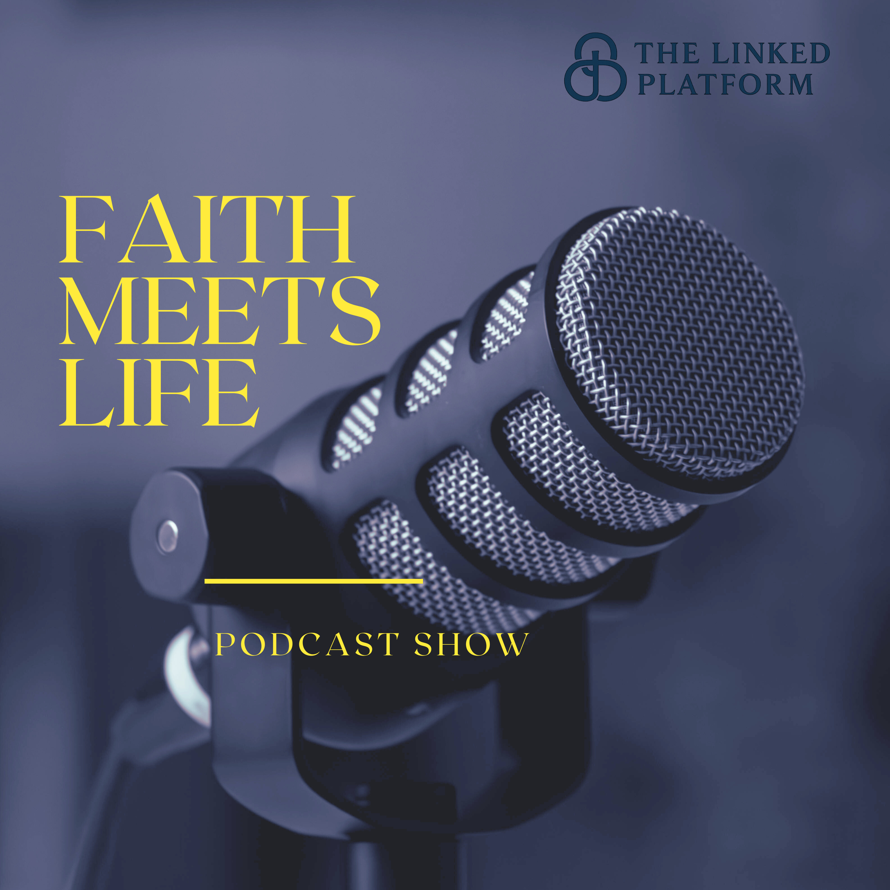 Faith Meets Life cover art