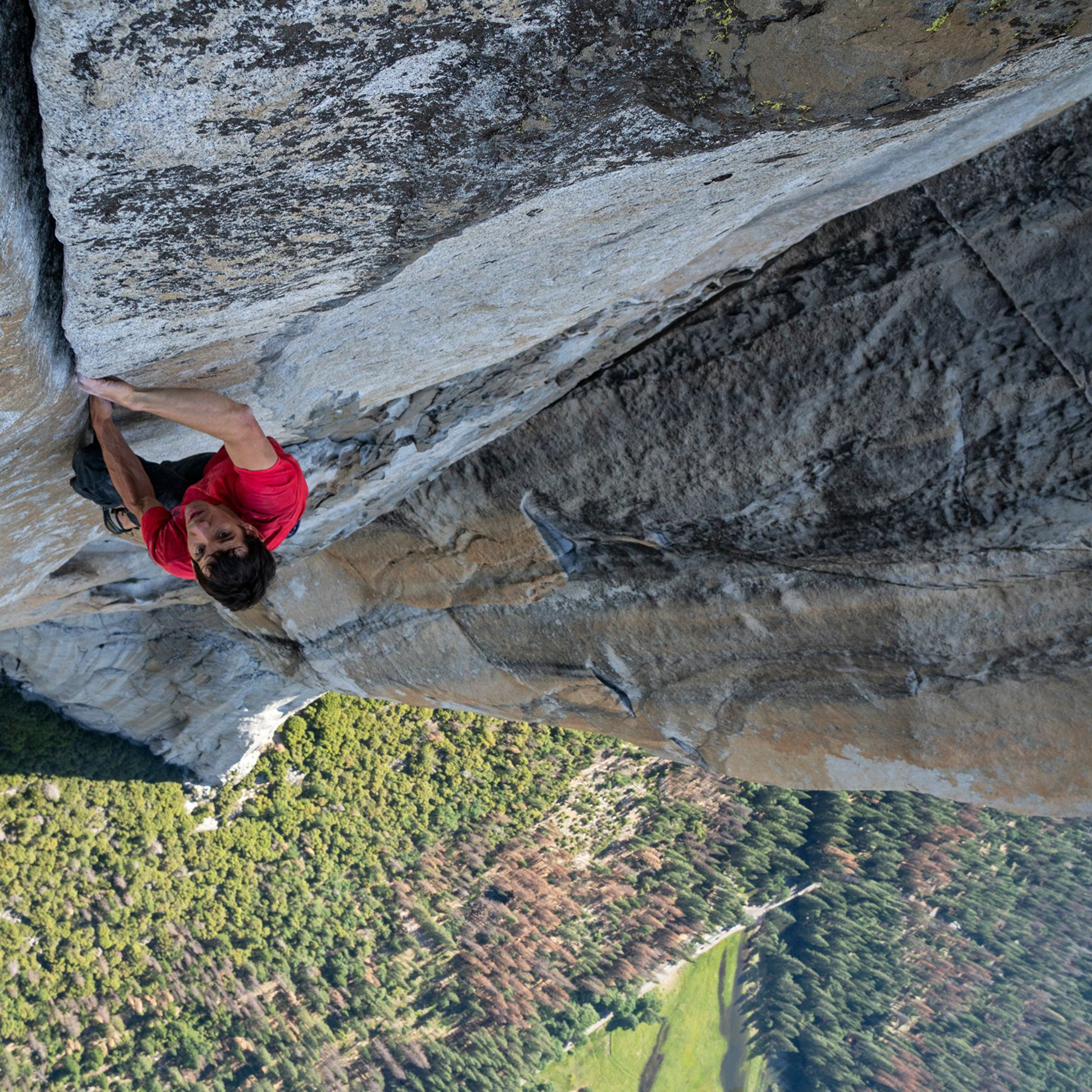 Alex Honnold: Free solo, skyscraper cover art