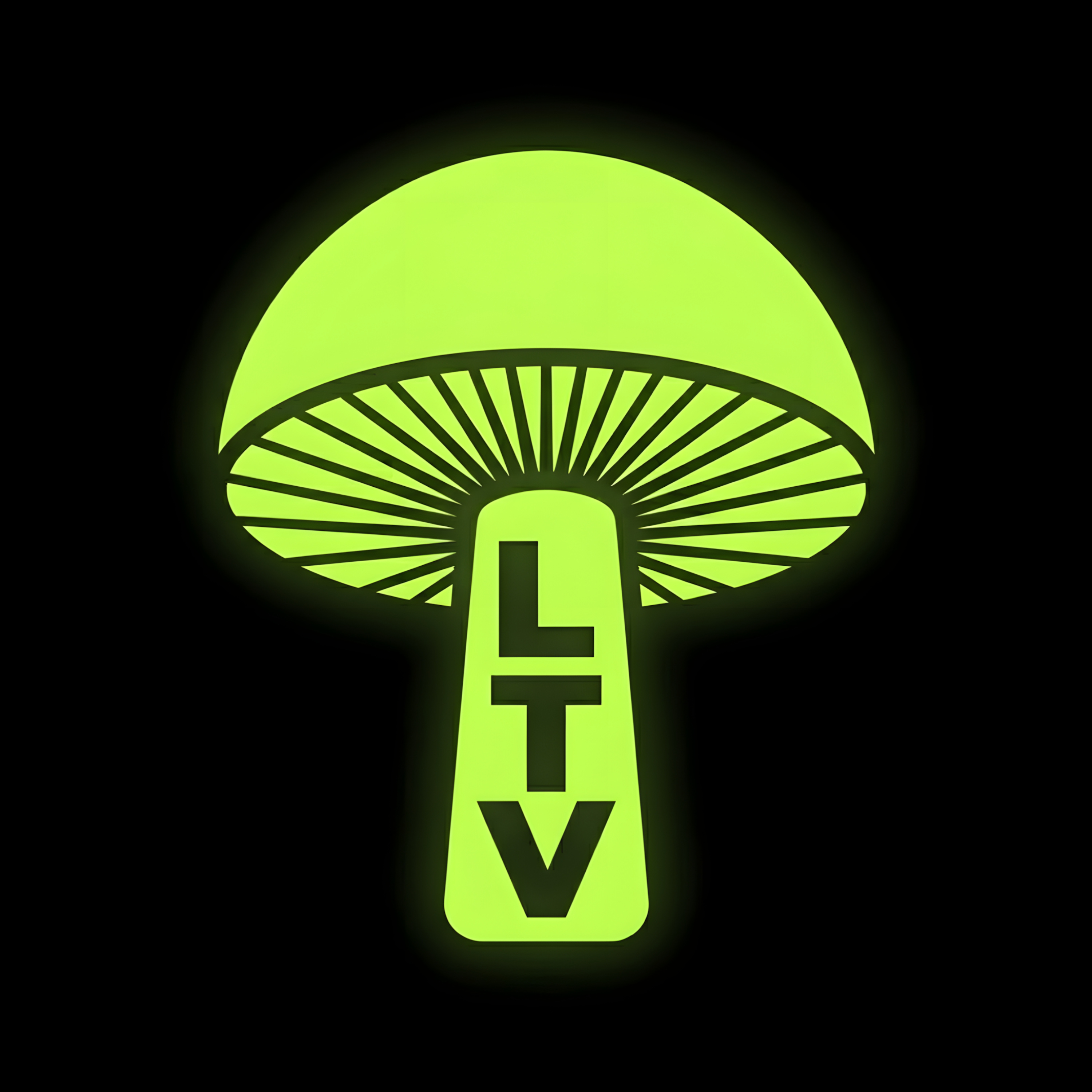 Spore Sized: A Mushroom That Produces Cyanide? The Secrets of Gymnopus peronatus episode artwork