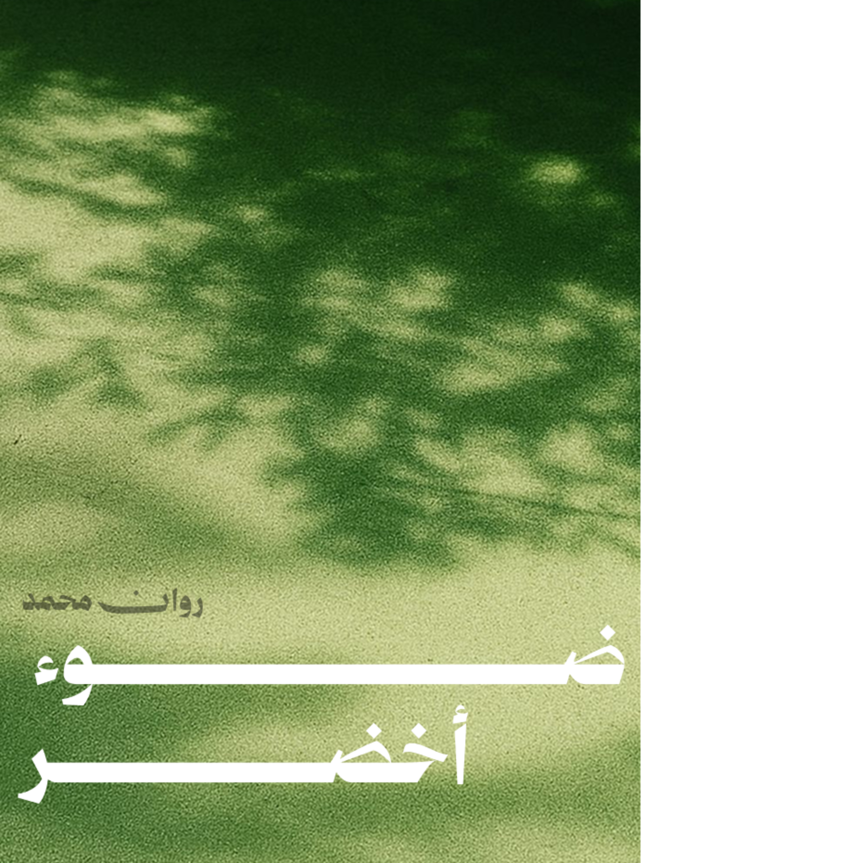 ضوءٌ أخضر cover art